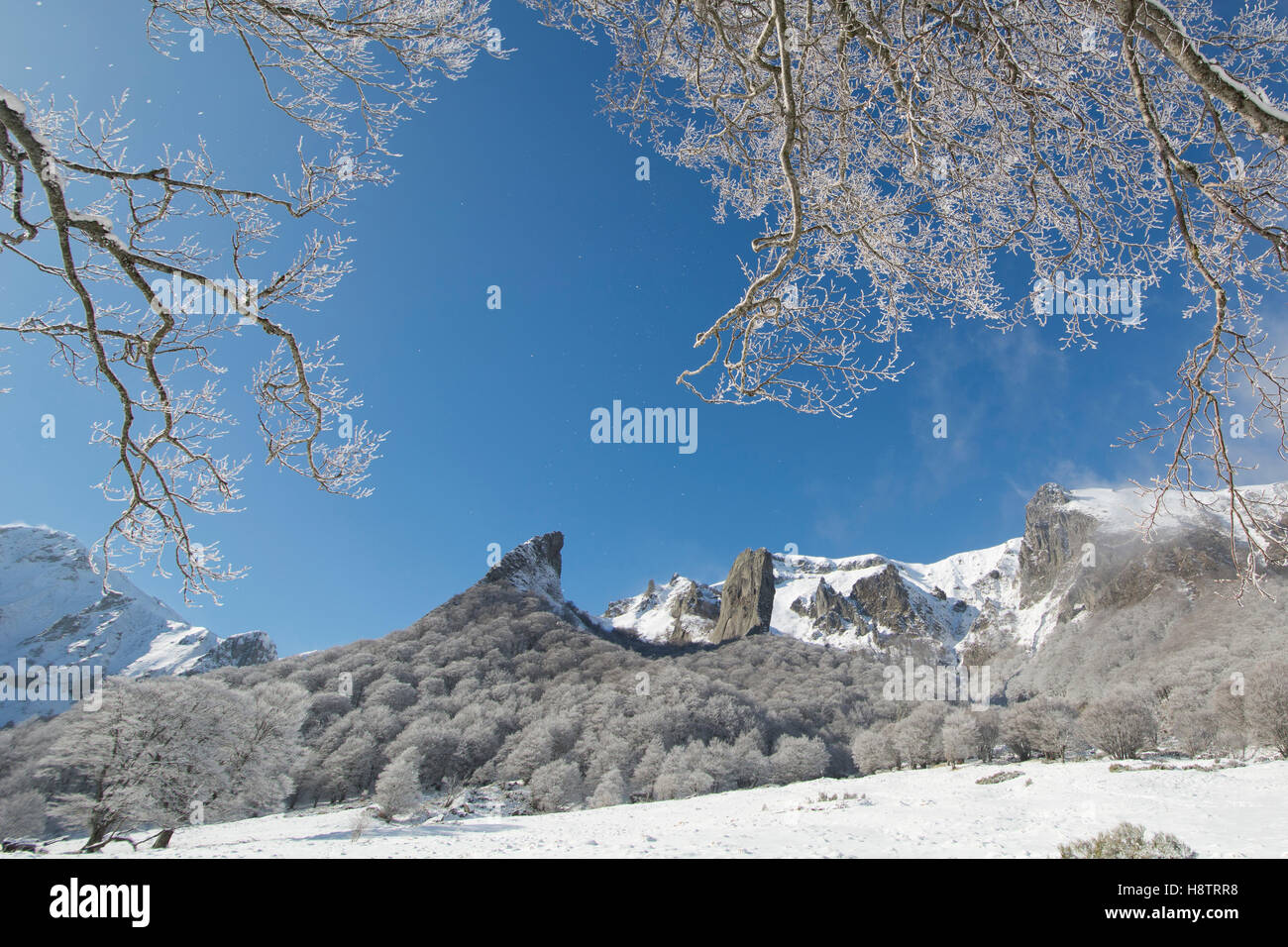 The Crete De Coq And The Dent De La Rancune In The Snow Nature Reserve Chaudefour Valley Pnr Volcans D Auvergne Auvergne Stock Photo Alamy