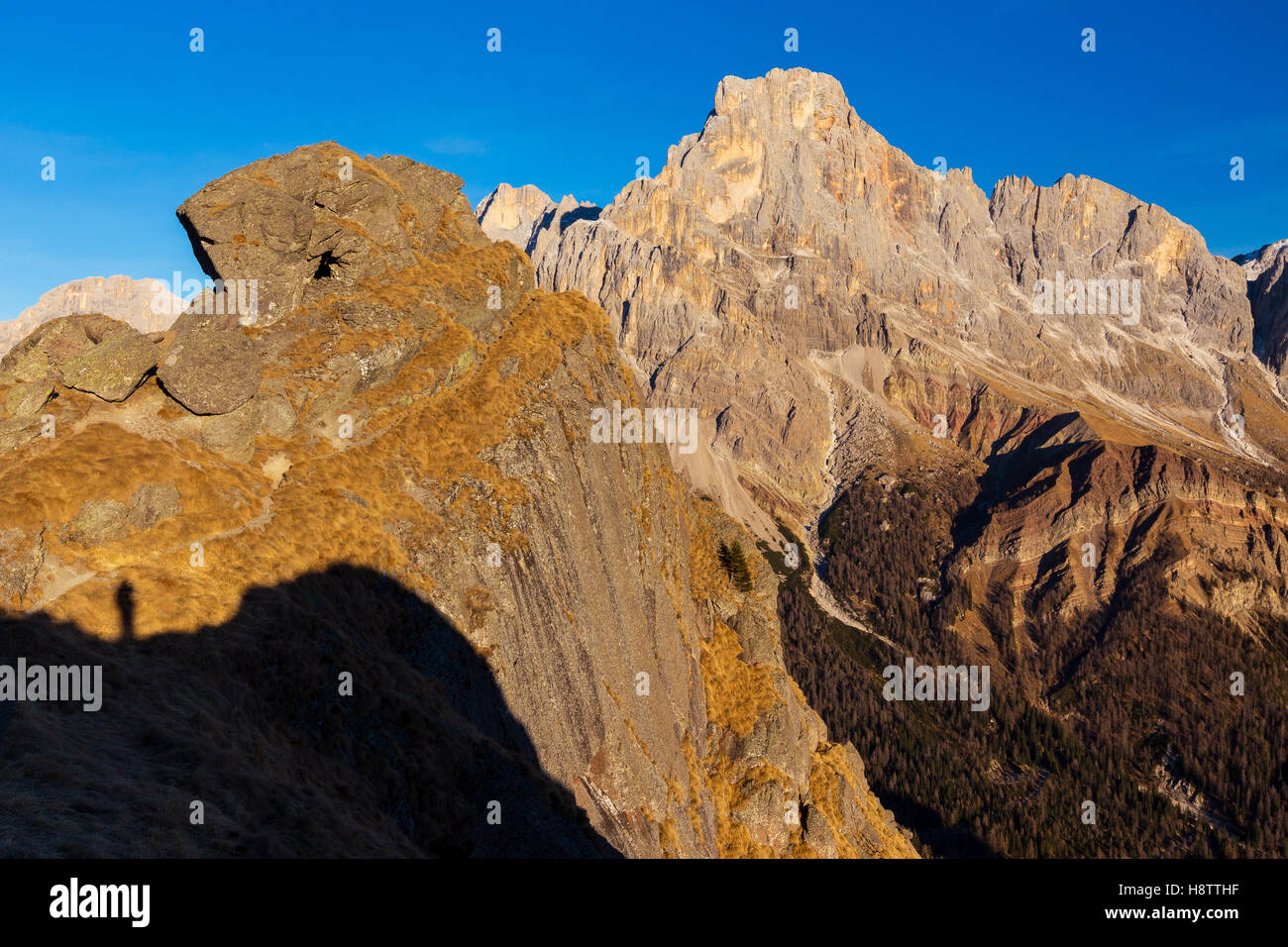 Piccola Cavallazza (Lagorai massif) and Cimon della Pala peak of the Pale di San Martino group. Dolomites of Trentino. Italian Alps. Europe. Stock Photo