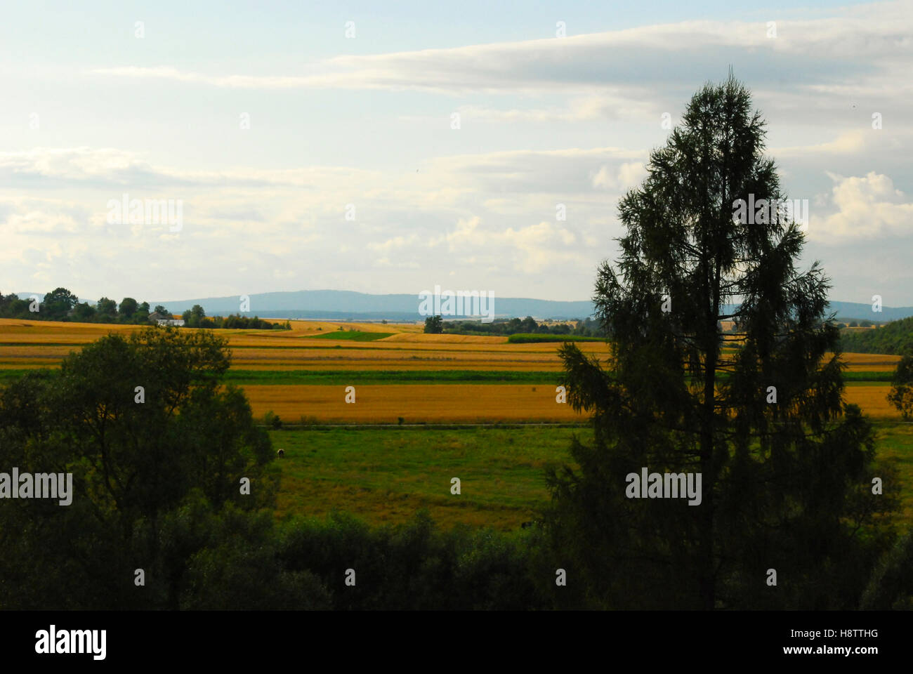 Landscape trees house mountains hi-res stock photography and images - Alamy