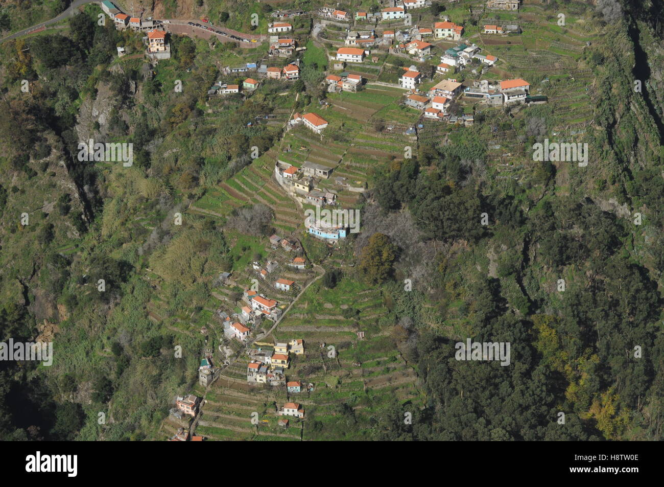 Houses on mountainside terraces near Curral das Freiras, Madeira - Stock Image