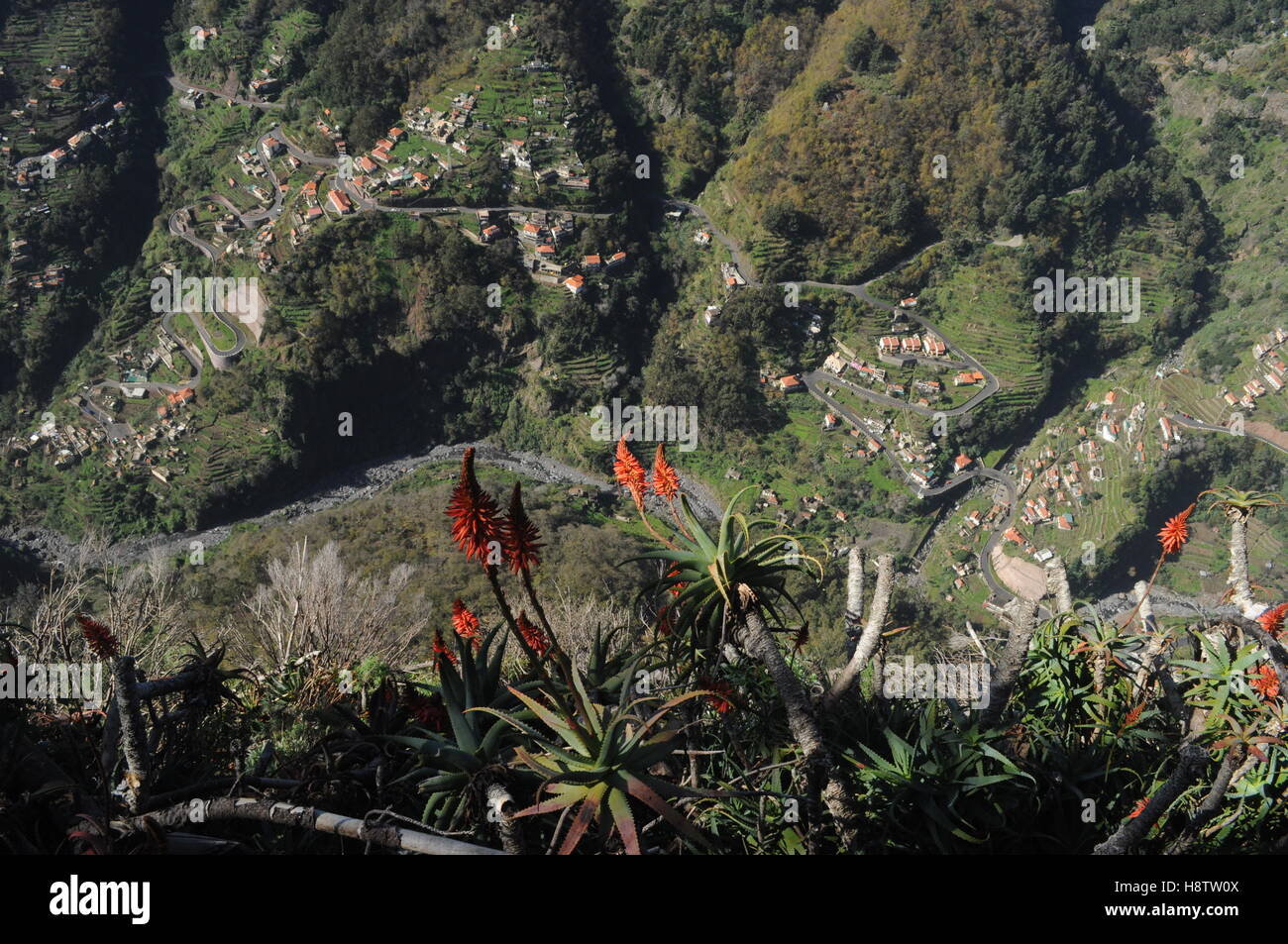 Village near Curral das Freiras, Madeira - Stock Image
