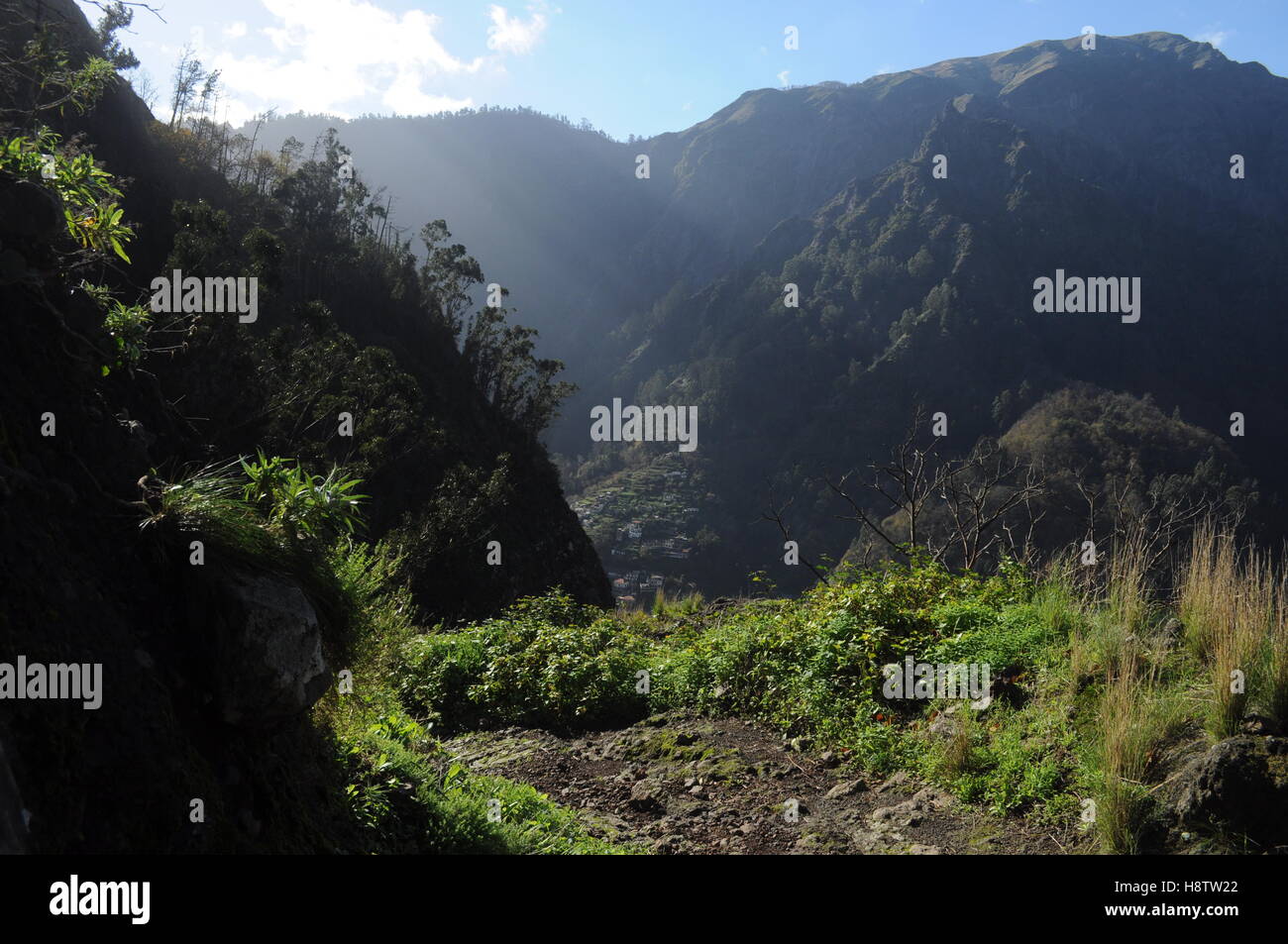 Footpath to Curral das Freiras, Madeira - Stock Image