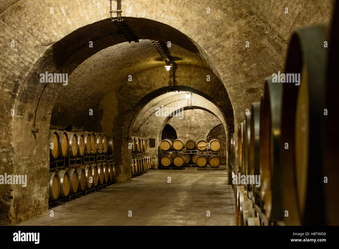 Klosterneuburg: Klosterneuburg Monastery: wine cellar: wooden vats barrels, Wienerwald, Vienna Woods, Niederösterreich, Lower Au Stock Photo