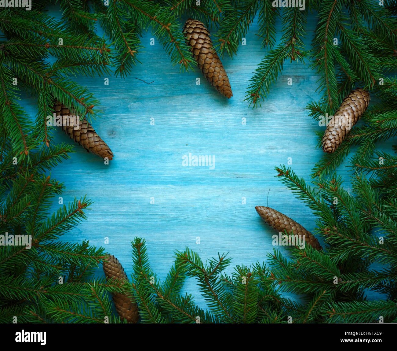 Christmas tree branches with cones on blue wooden texture ready for ...