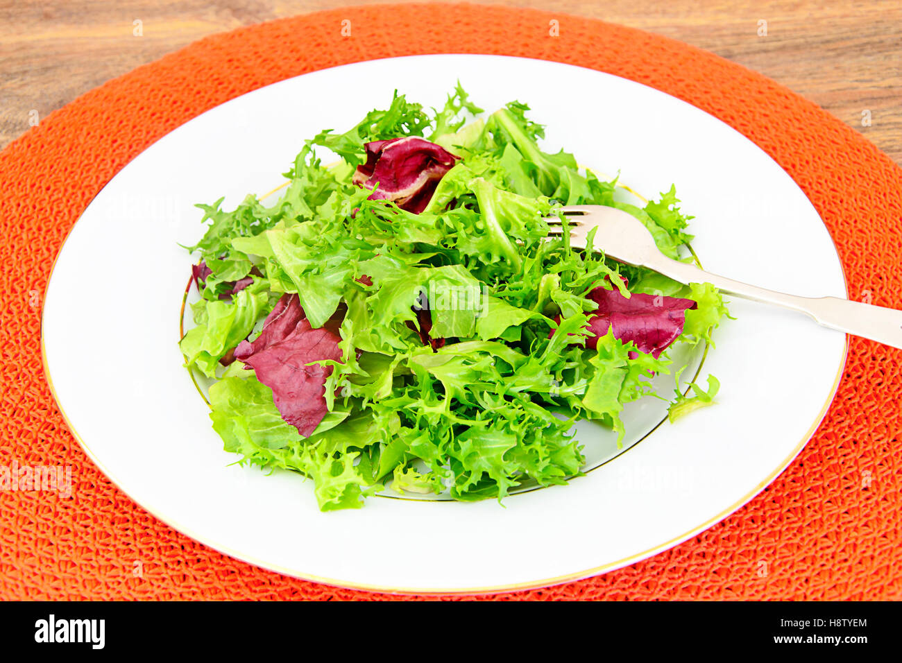 Salad Mix  Batavian, Frise, Radicchio, Chicory Stock Photo