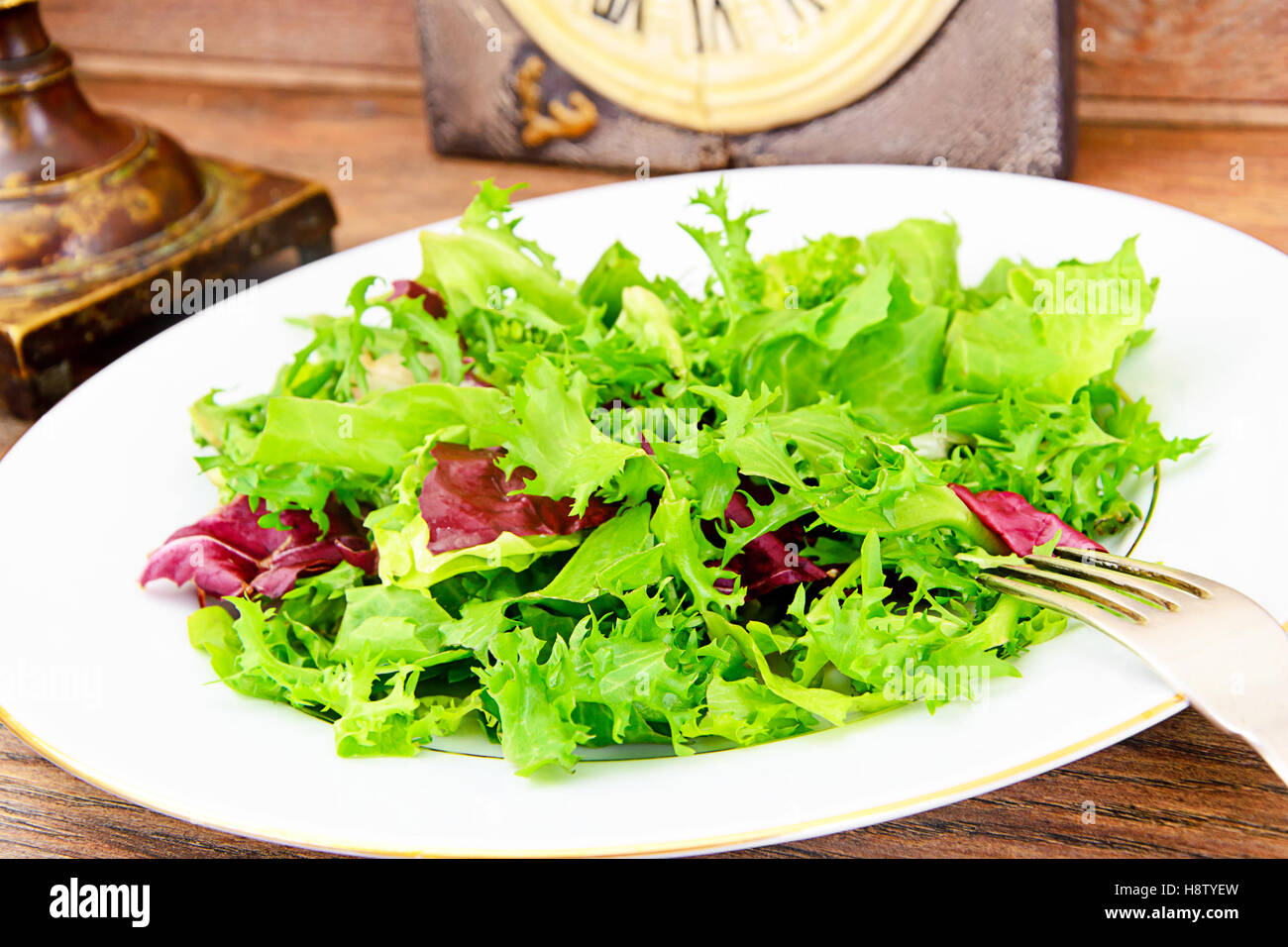 Salad Mix  Batavian, Frise, Radicchio, Chicory Stock Photo