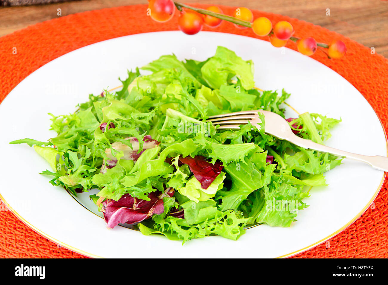 Salad Mix  Batavian, Frise, Radicchio, Chicory Stock Photo