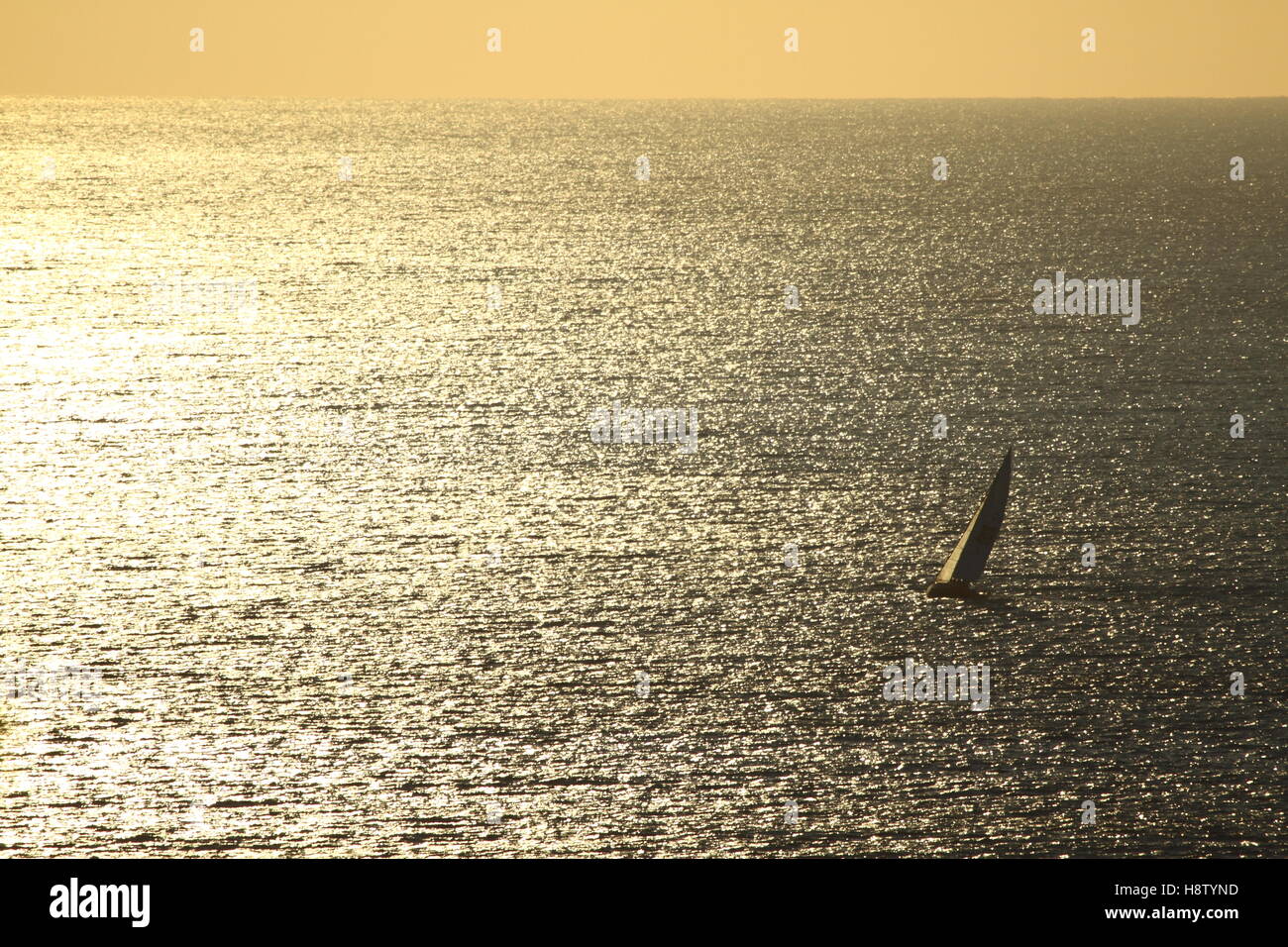 A golden dusk drapes a lone yacht as it sails off the coast of Scarborough in NSW, Australia. Stock Photo