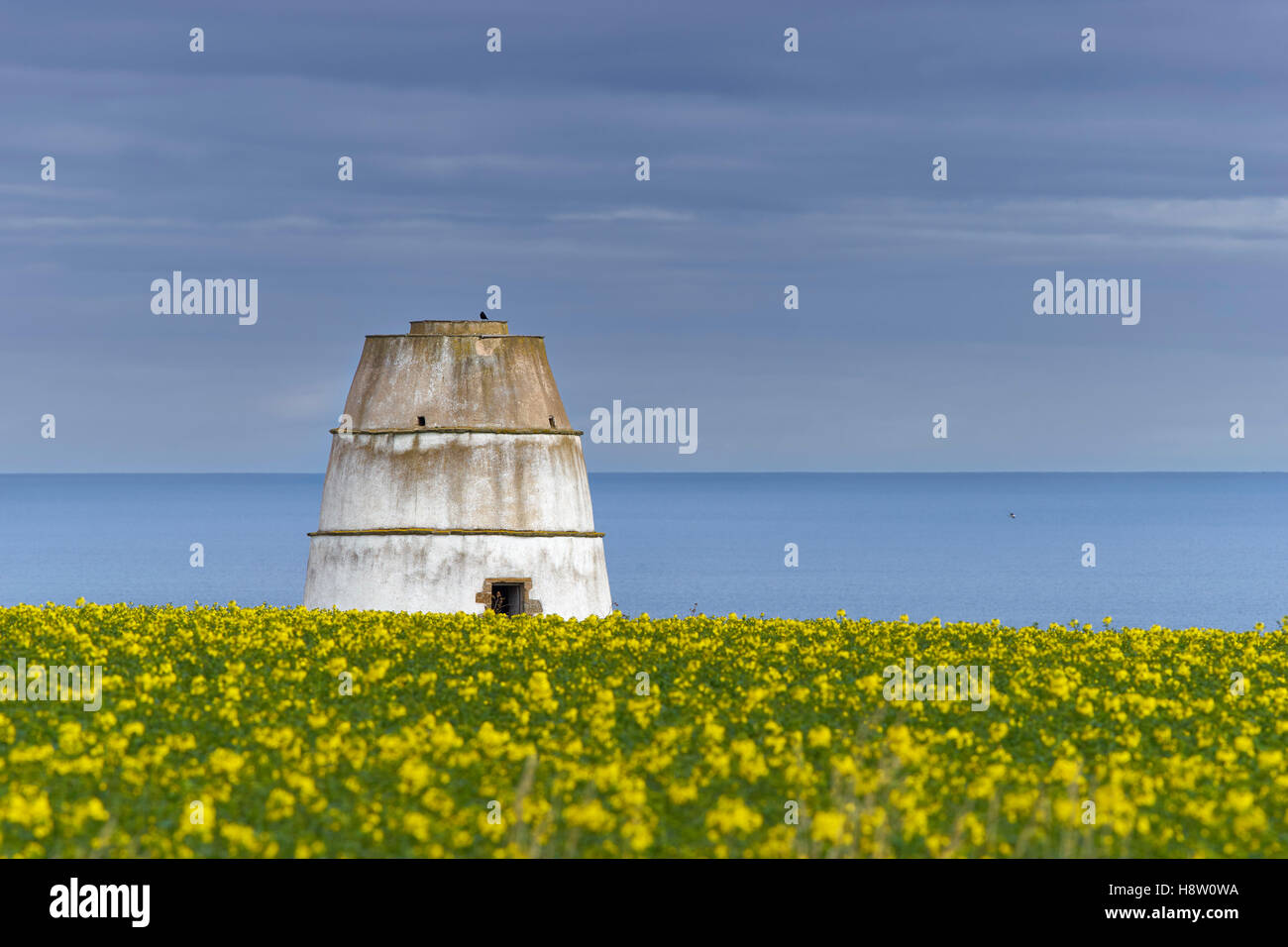 Findlater Doocot, Aberdeenshire, Scotland, with yellow rapseed foreground Stock Photo Alamy