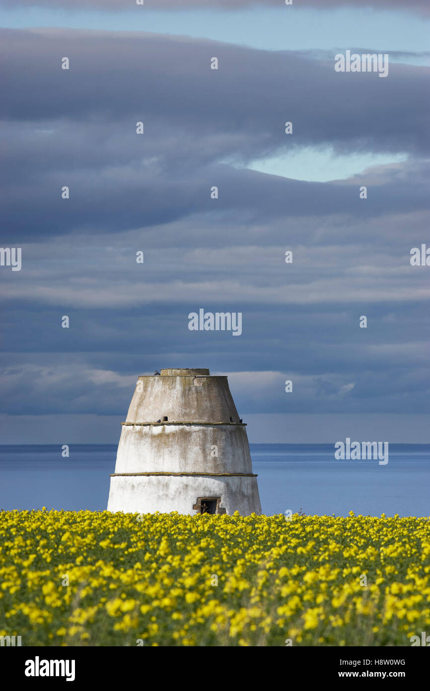Findlater Doocot, near Cullen, Aberdeenshire, Scotland, with yellow rapseed foreground Stock