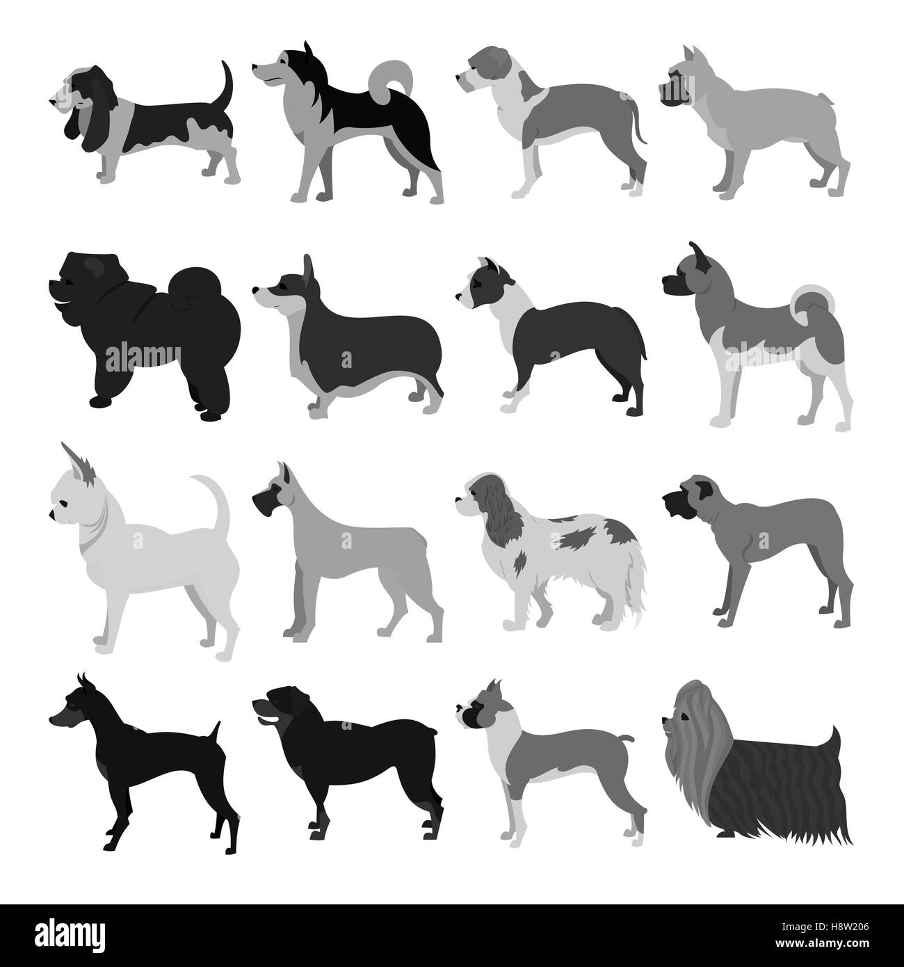 Set of dog breeds Stock Photo