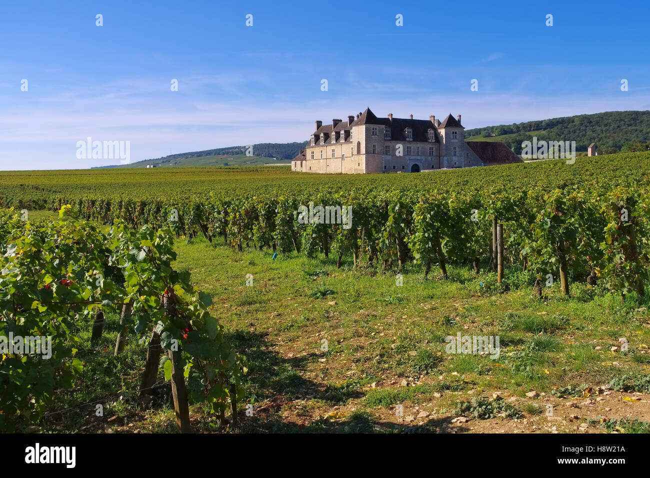 Chateau du Clos de Vougeot, Burgund - Chateau du Clos de Vougeot, Cote d'Or, Burgundy in France Stock Photo