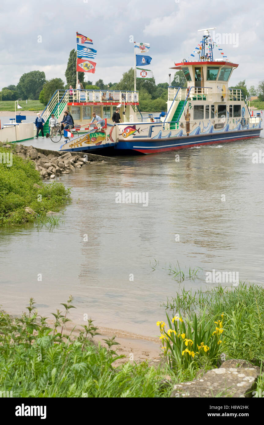 Rhine ferry DuesseldorfKaiserswerth to Meerbusch at Duesseldorf, North
