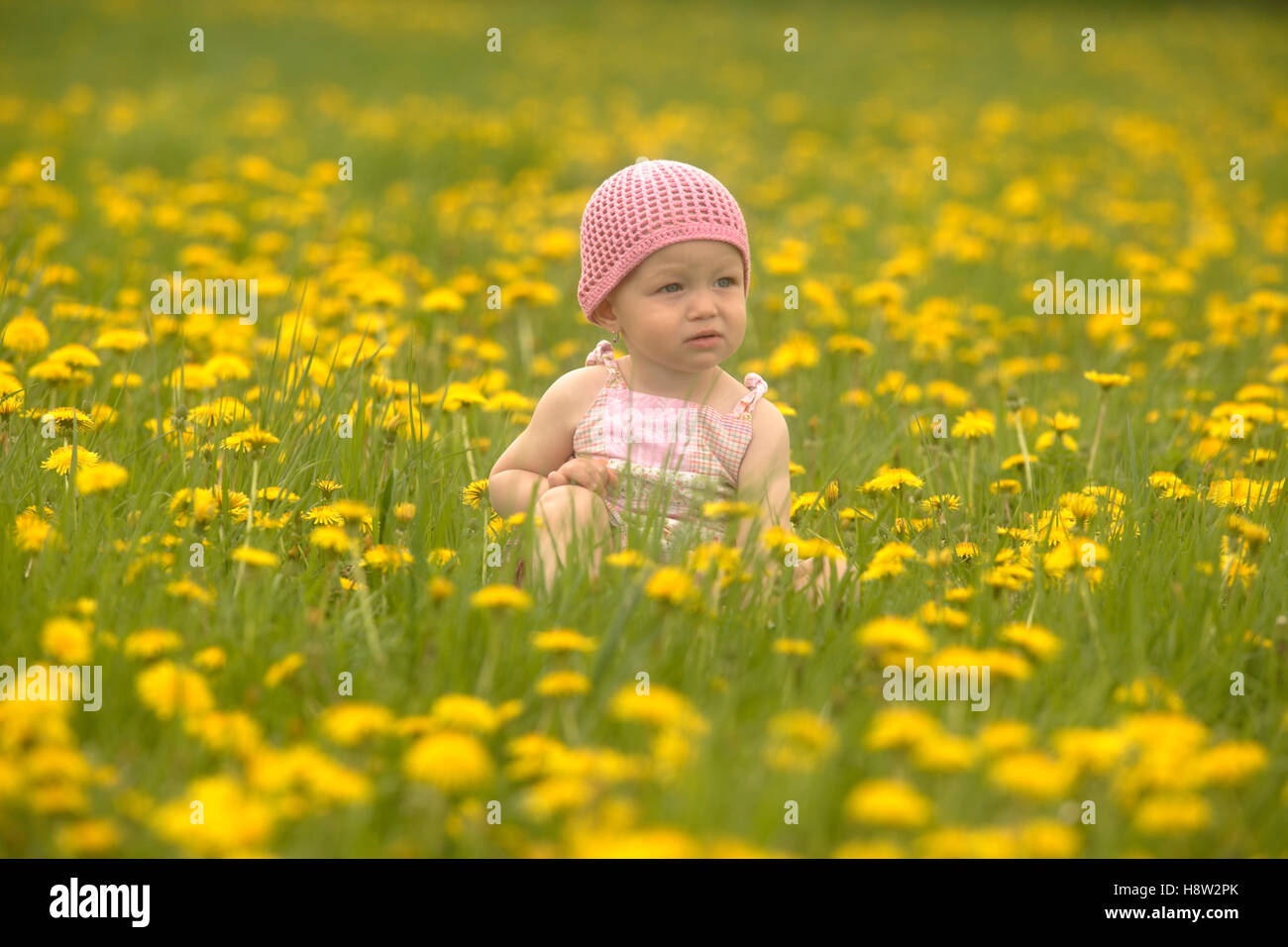 Baby, girl, in a spring meadow Stock Photo - Alamy