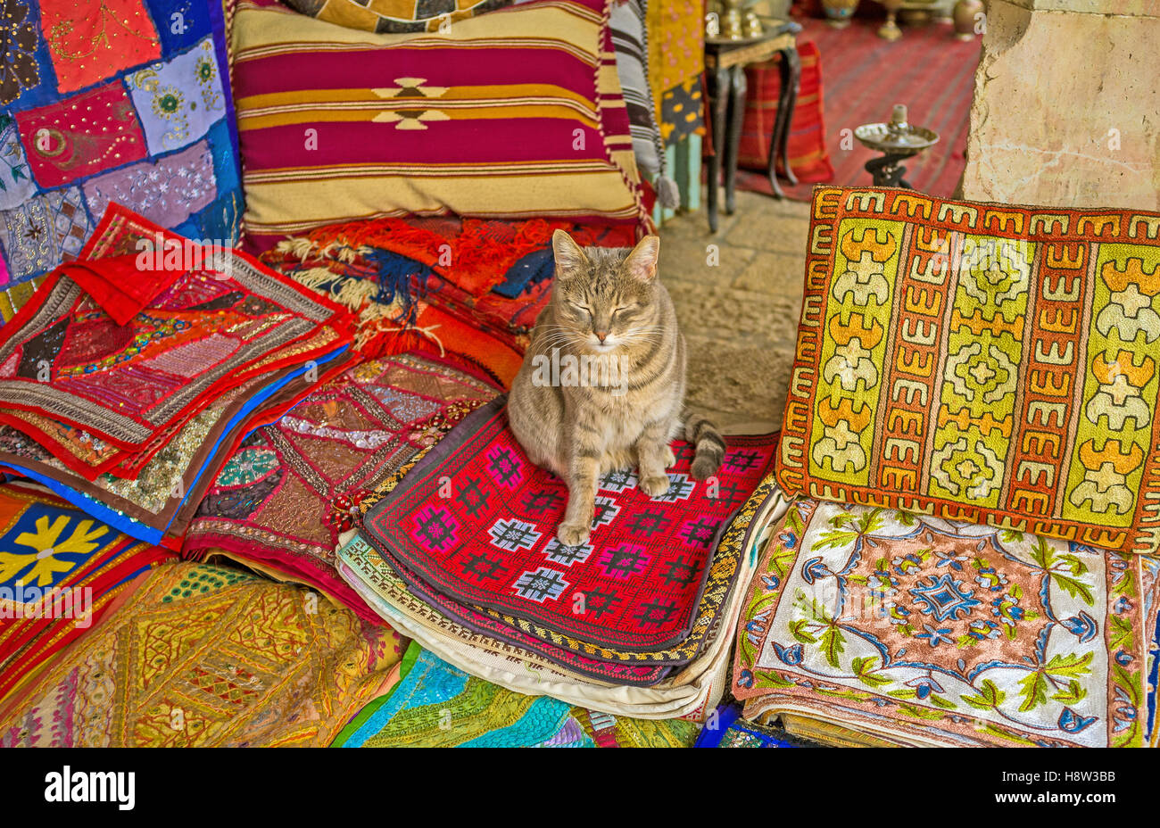 The puss sits on the handmade embroidered pillowcases in the Aftimos Market stall, Jerusalem, Israel. Stock Photo