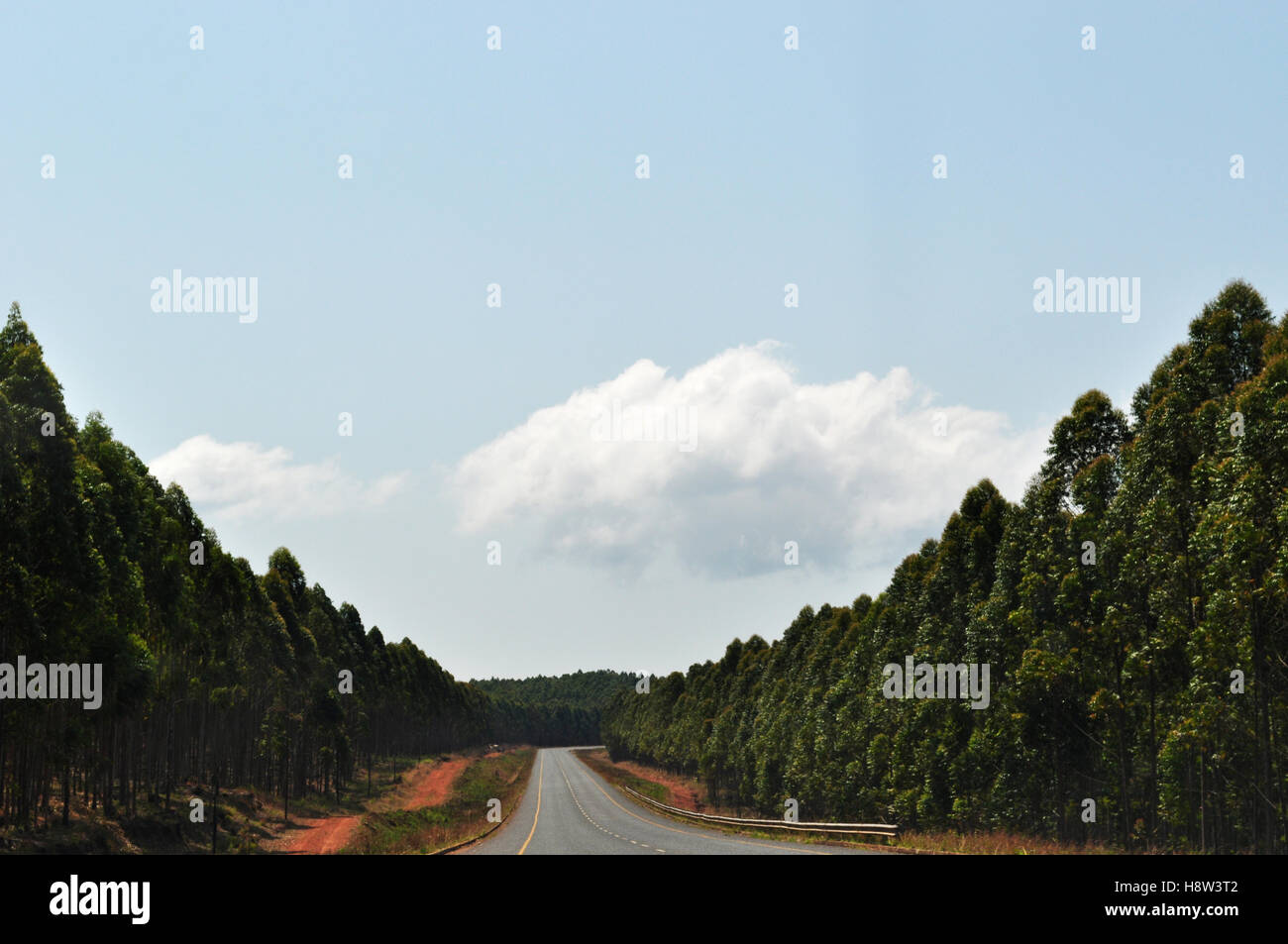 South Africa: african landscape seen from a road in the Mpumalanga Stock Photo