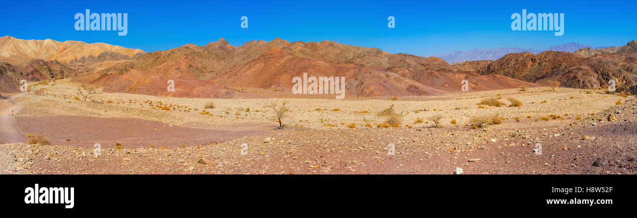 The dry yellow riverbed surrounded by red slopes in Eilat mountains, Israel. Stock Photo