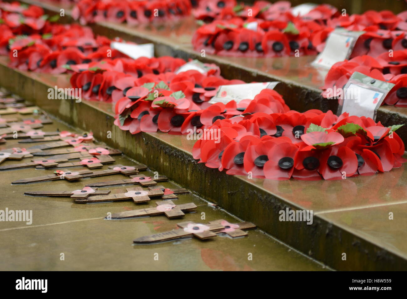 Commemorating Commemoration service hi-res stock photography and images - Alamy