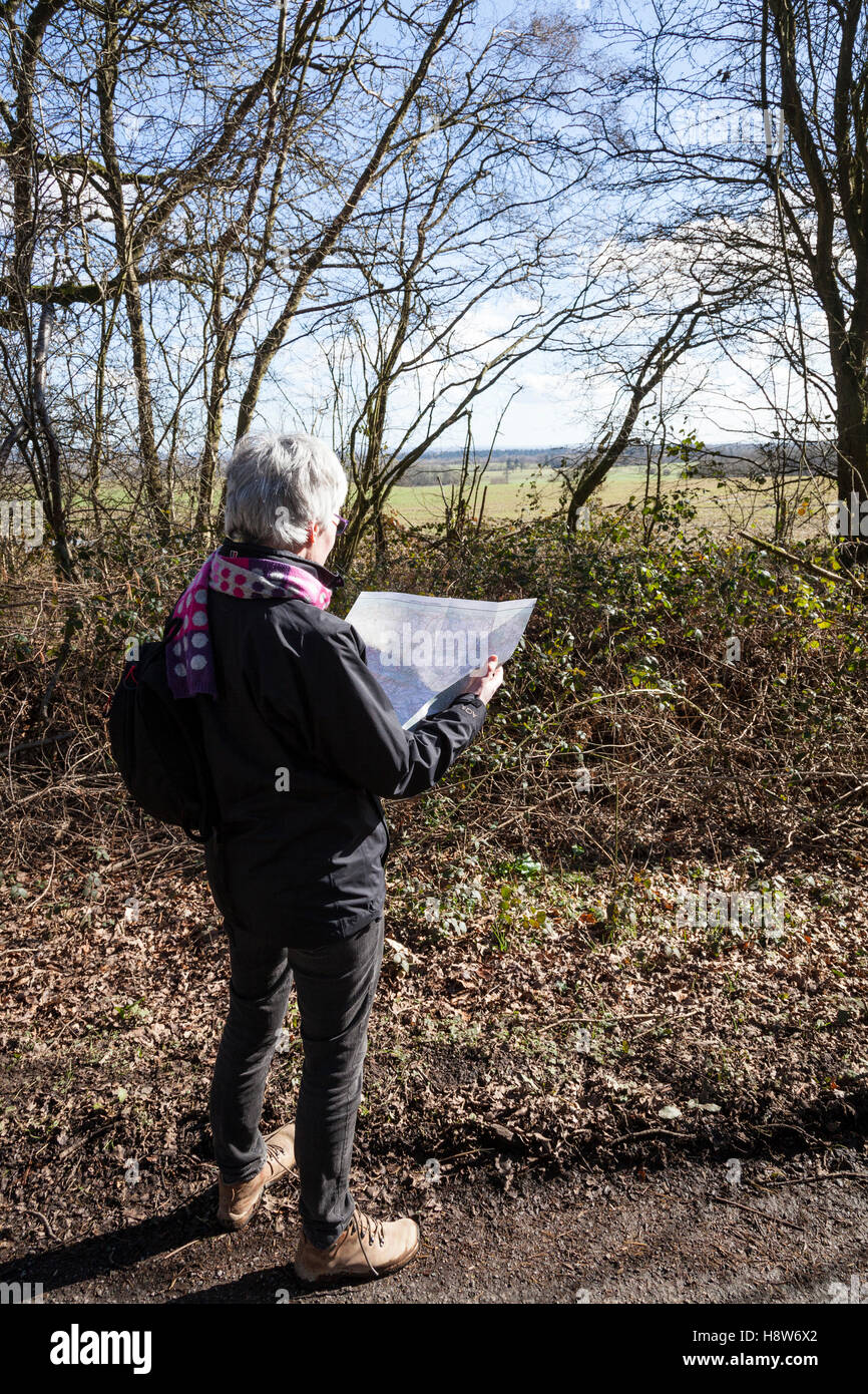 Woman stops to read her Ordinance Survey (OS) map during a walk along a country lane in Surrey. Stock Photo