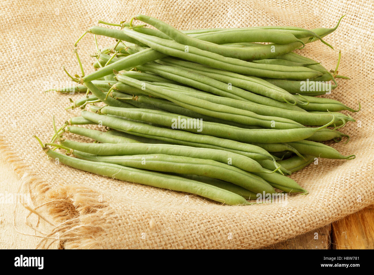 Bush beans Stock Photo