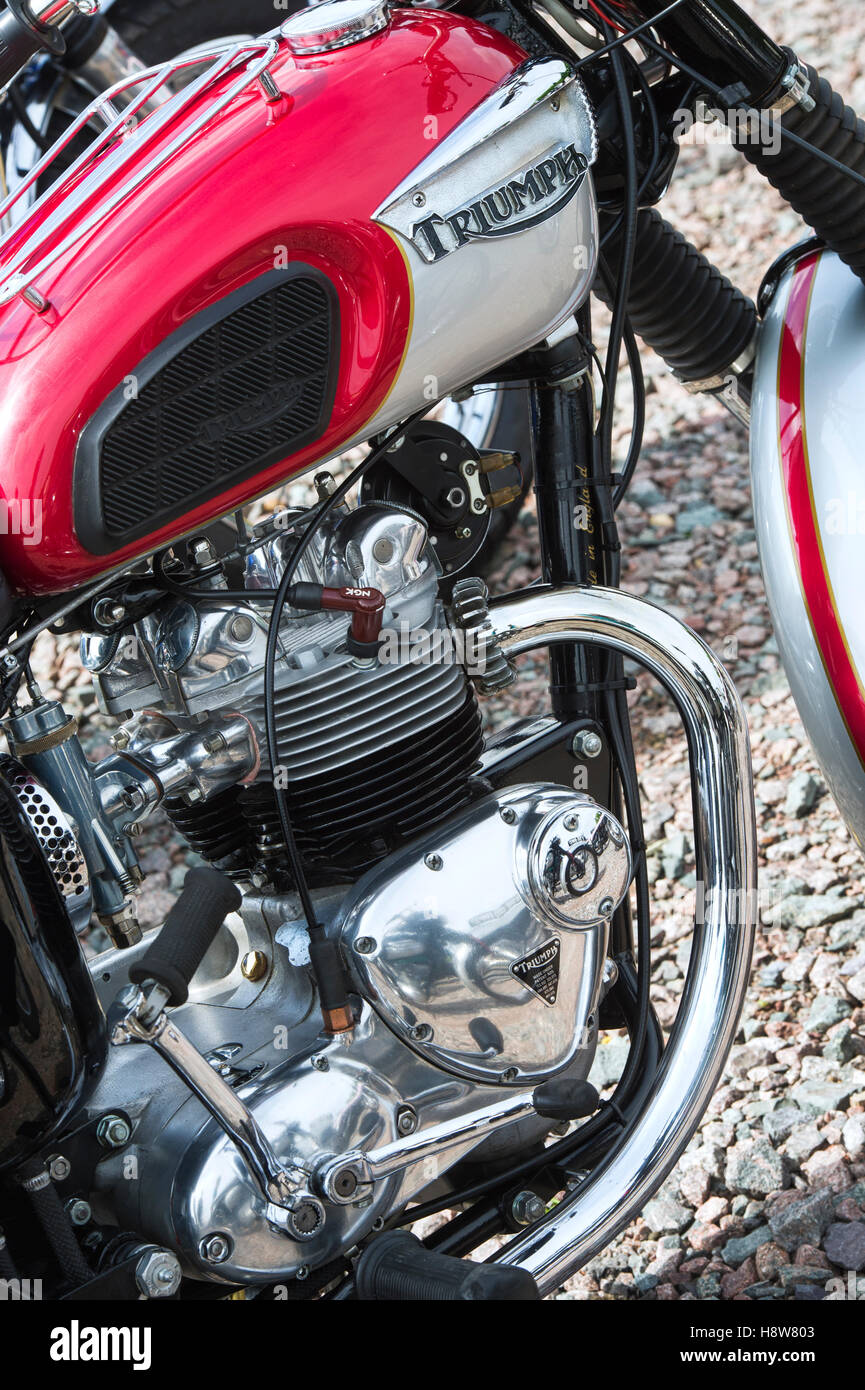 1967 Triumph motorcycle. Classic british motorcycle Stock Photo