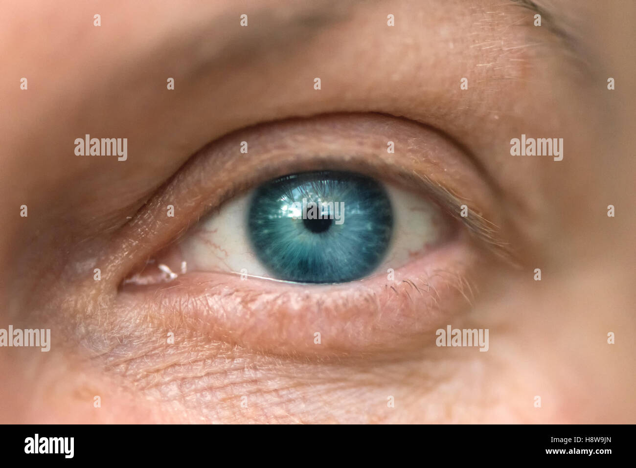 Single blue female eye, close up macro with selective focus Stock Photo