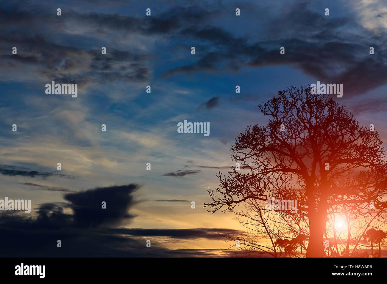 Beautiful sunset sky and clouds Stock Photo - Alamy