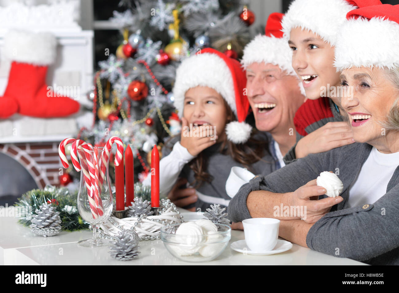 Family Christmas Pics 