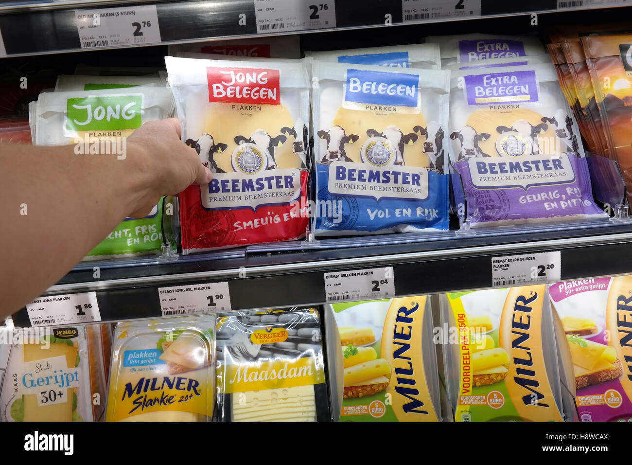 Dutch Grocery Store, Jumbo Food Market