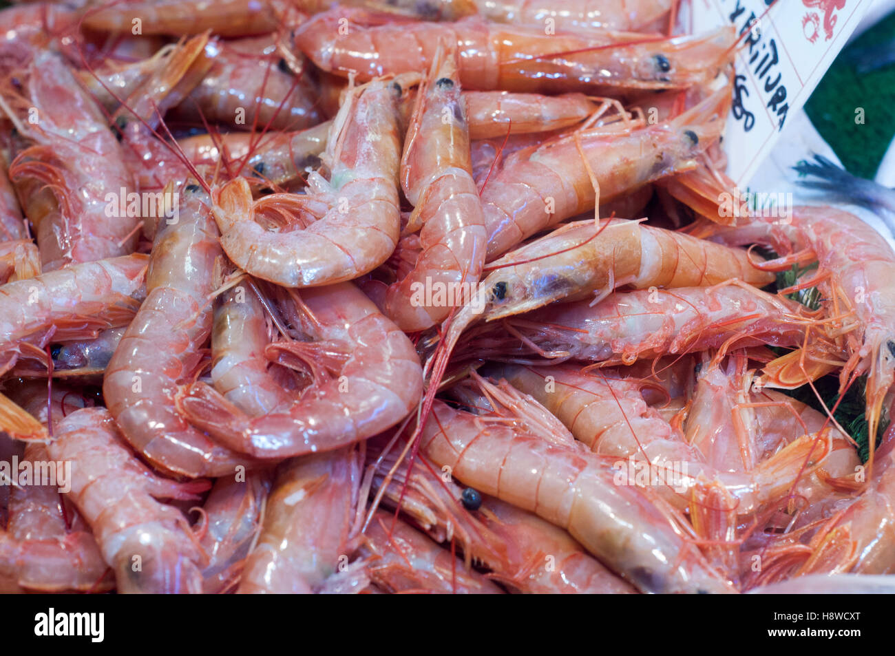 Close up of fresh whole raw shrimp or prawns on display in fish market