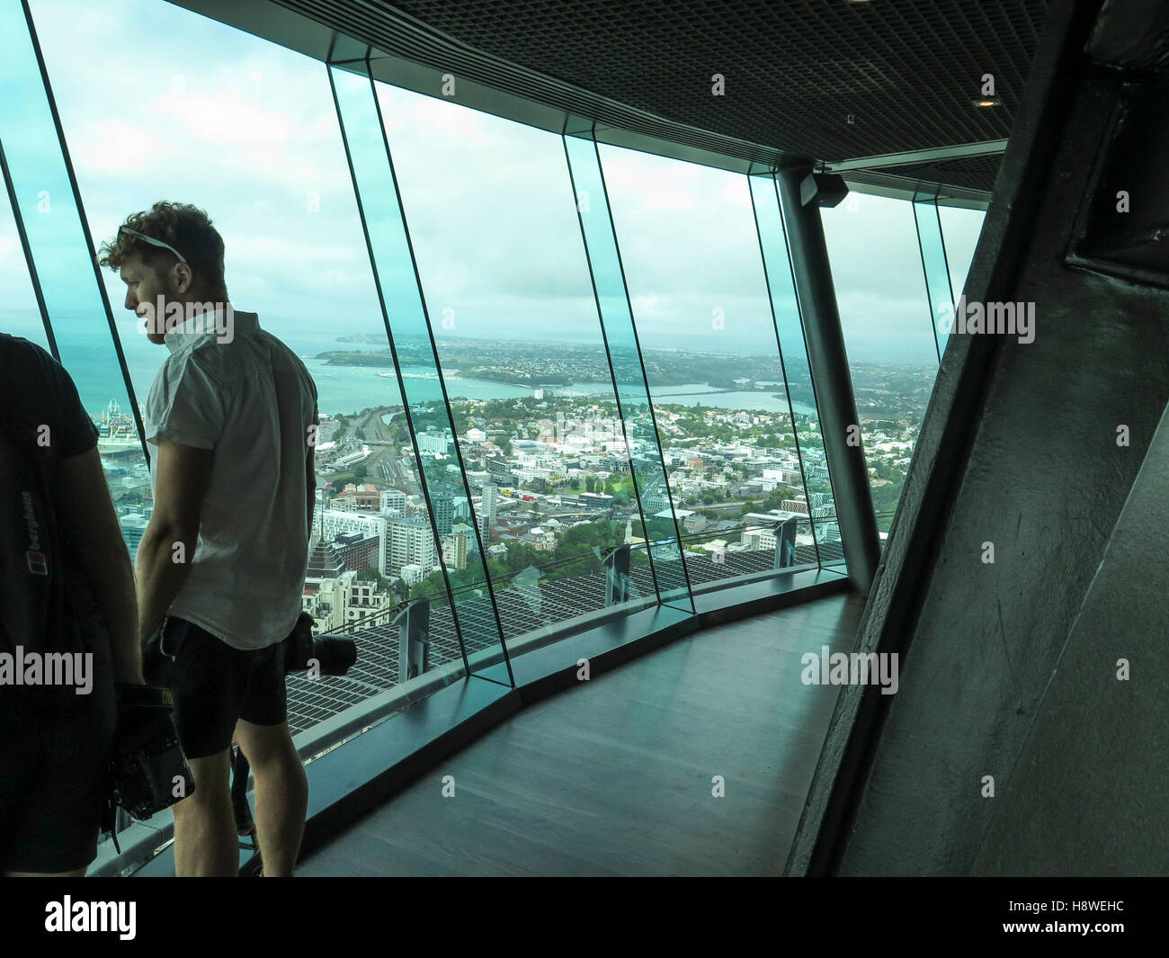 View from Sky Tower in Auckland, North Island, New Zealand Stock Photo