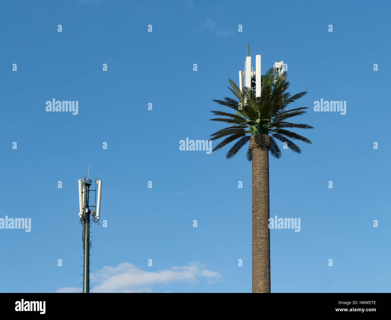 Disguised radio and telephone communication masts and aerials in Morocco, North Africa Stock Photo