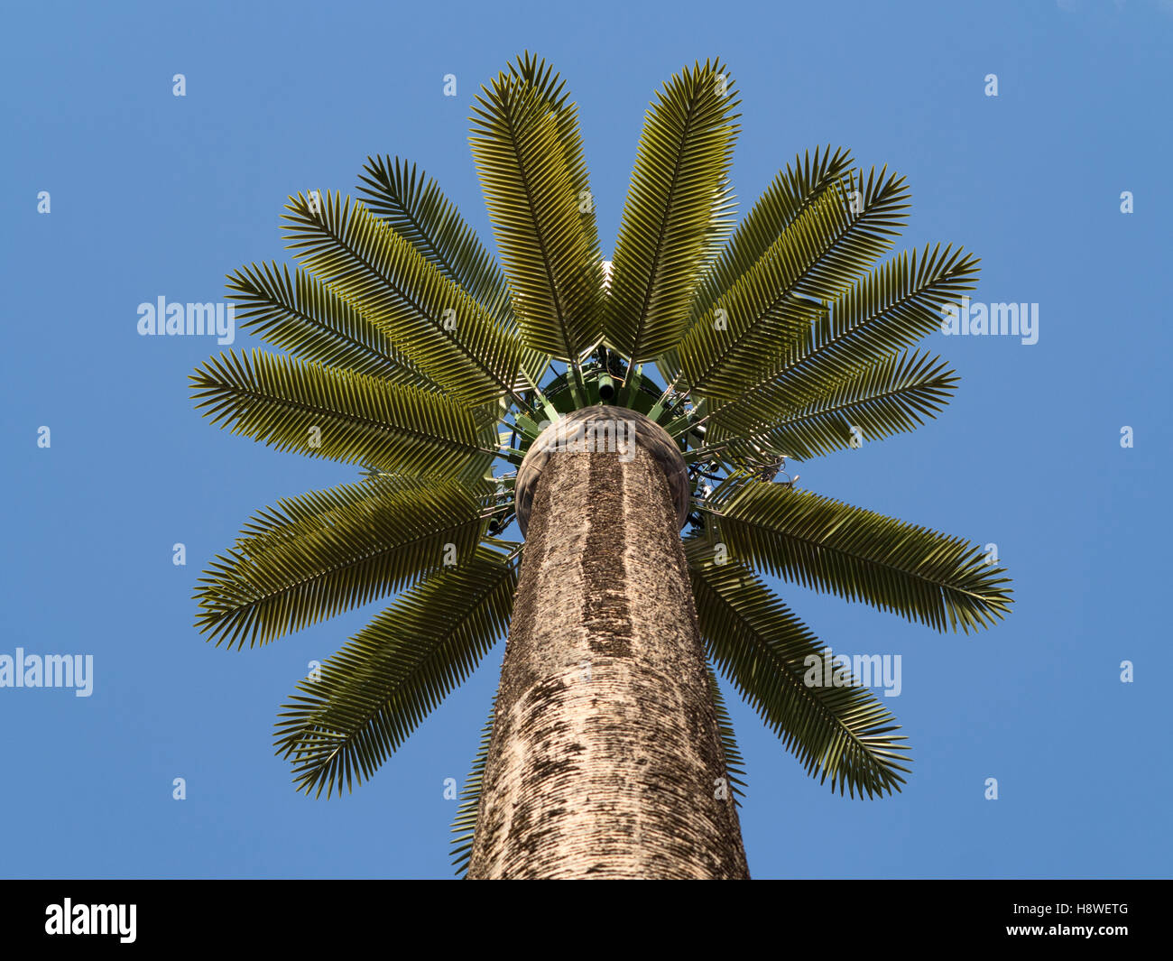 Disguised radio and telephone communication masts and aerials in Morocco, North Africa Stock Photo