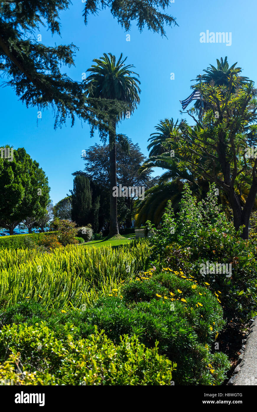 Sausalito, CA, USA, CIty, Urban Gardens, Public Square, San Francisco Suburb, Scenics Stock Photo