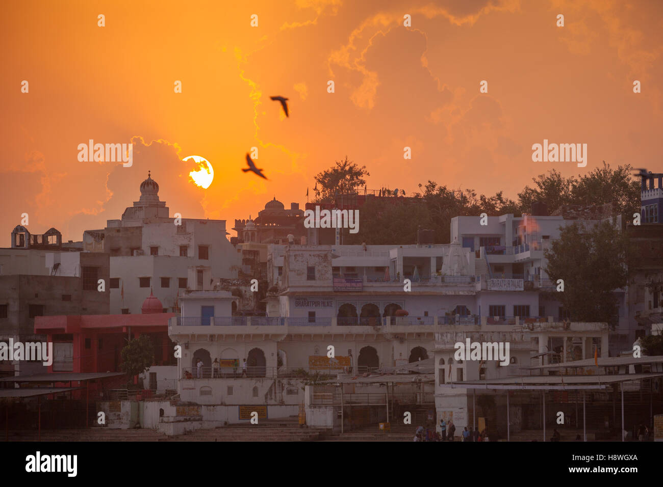 Sunset over the town of Pushkar, Ajmer, Rajasthan, India. Stock Photo