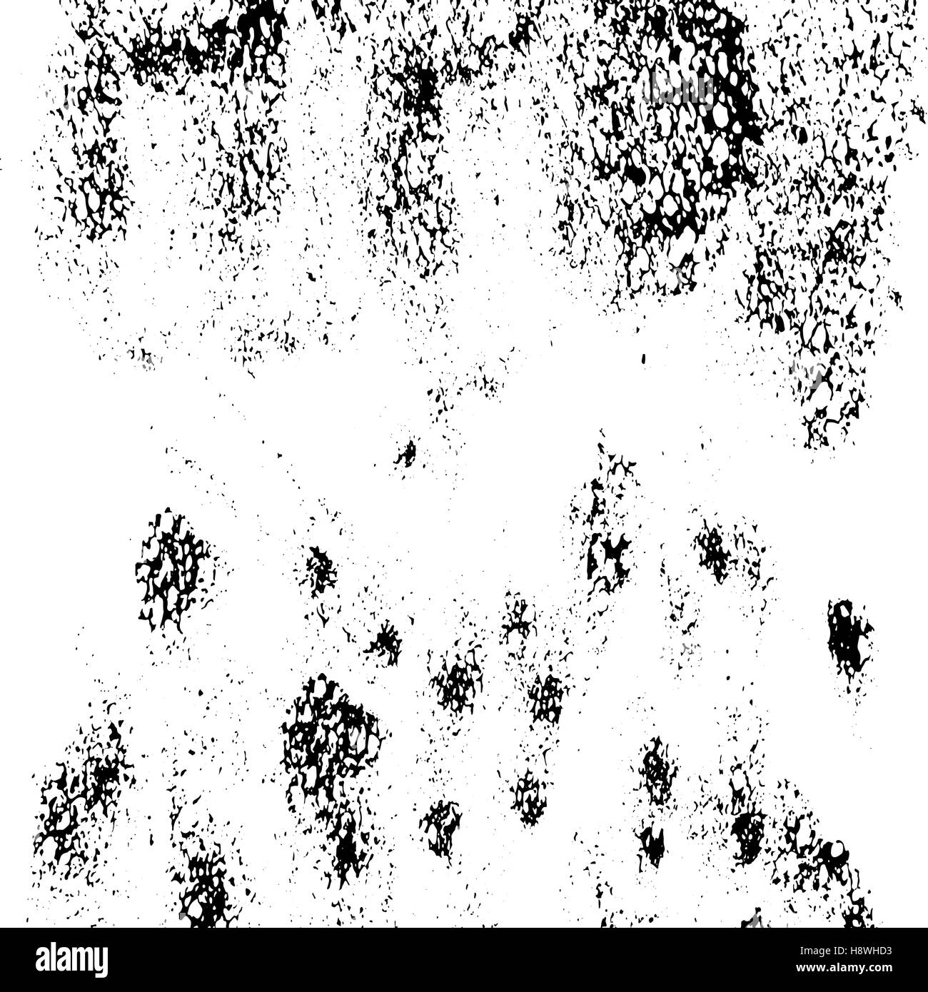 Abstract black sponge stains texture. Design for your brushes and