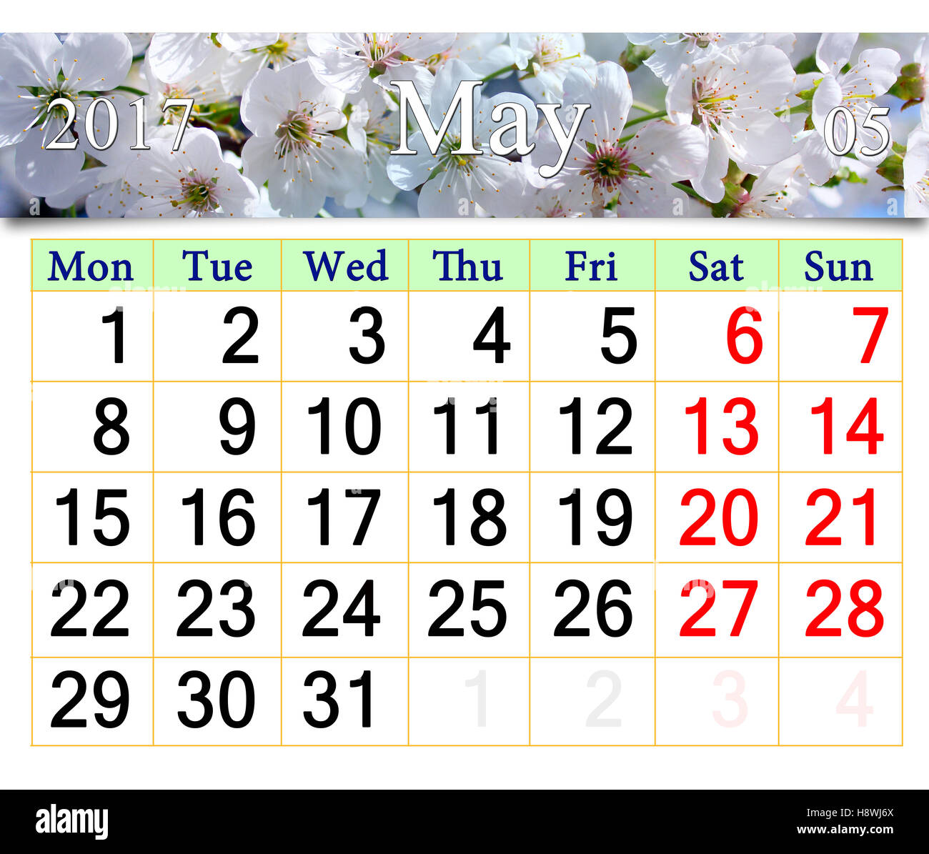 calendar for May 2017 with white blooming cherry tree Stock Photo