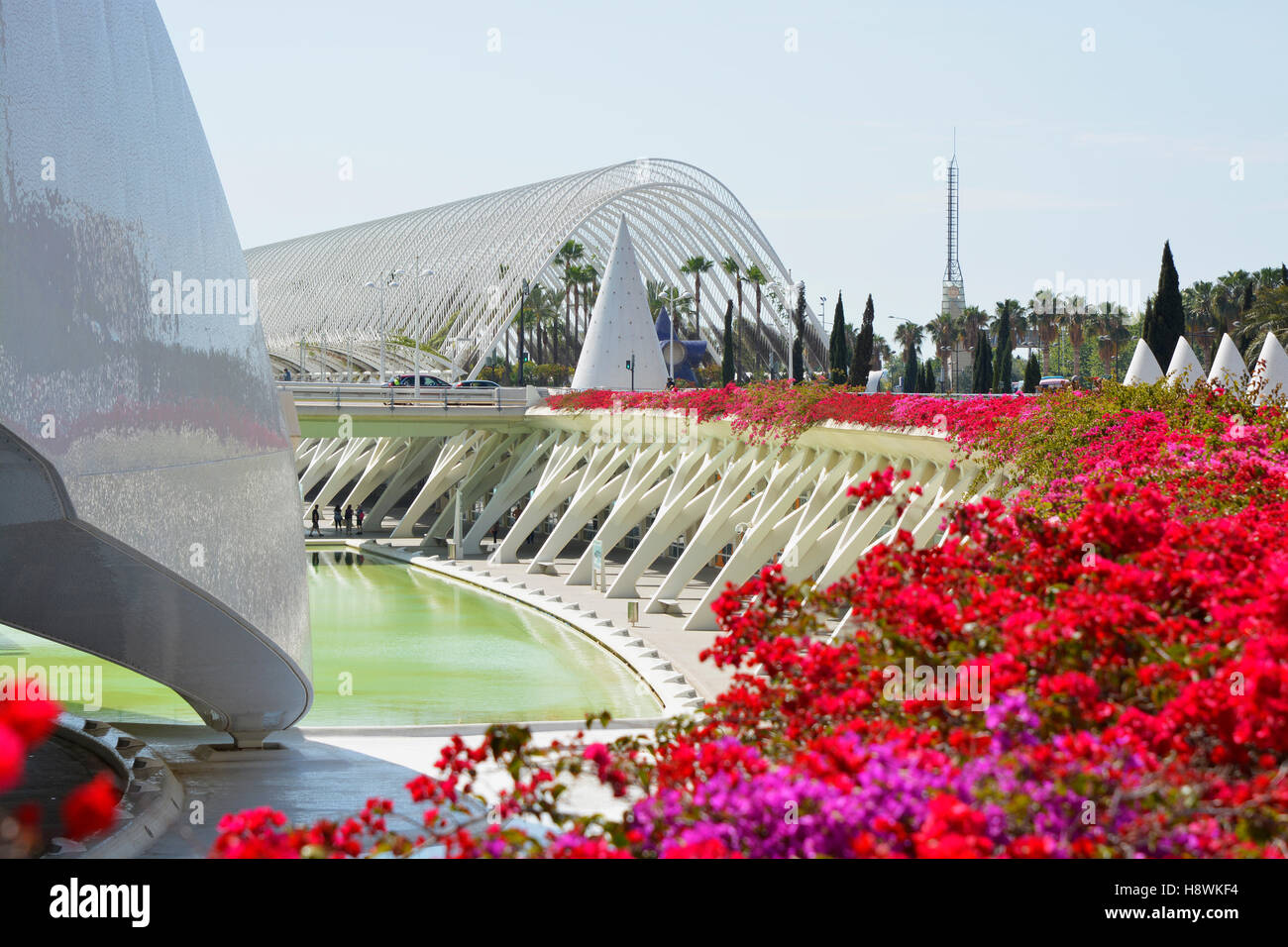 The City of Arts and Sciences in the Turia Gardens, Valencia, Spain. Modern architecture and flowers Stock Photo