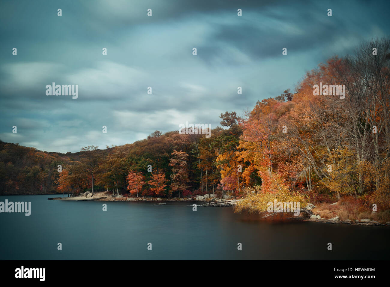 Autumn colorful foliage with lake reflection Stock Photo - Alamy