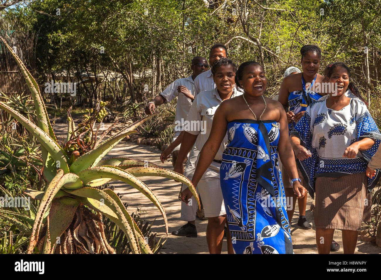 Tembe Elephant Park Stock Photo