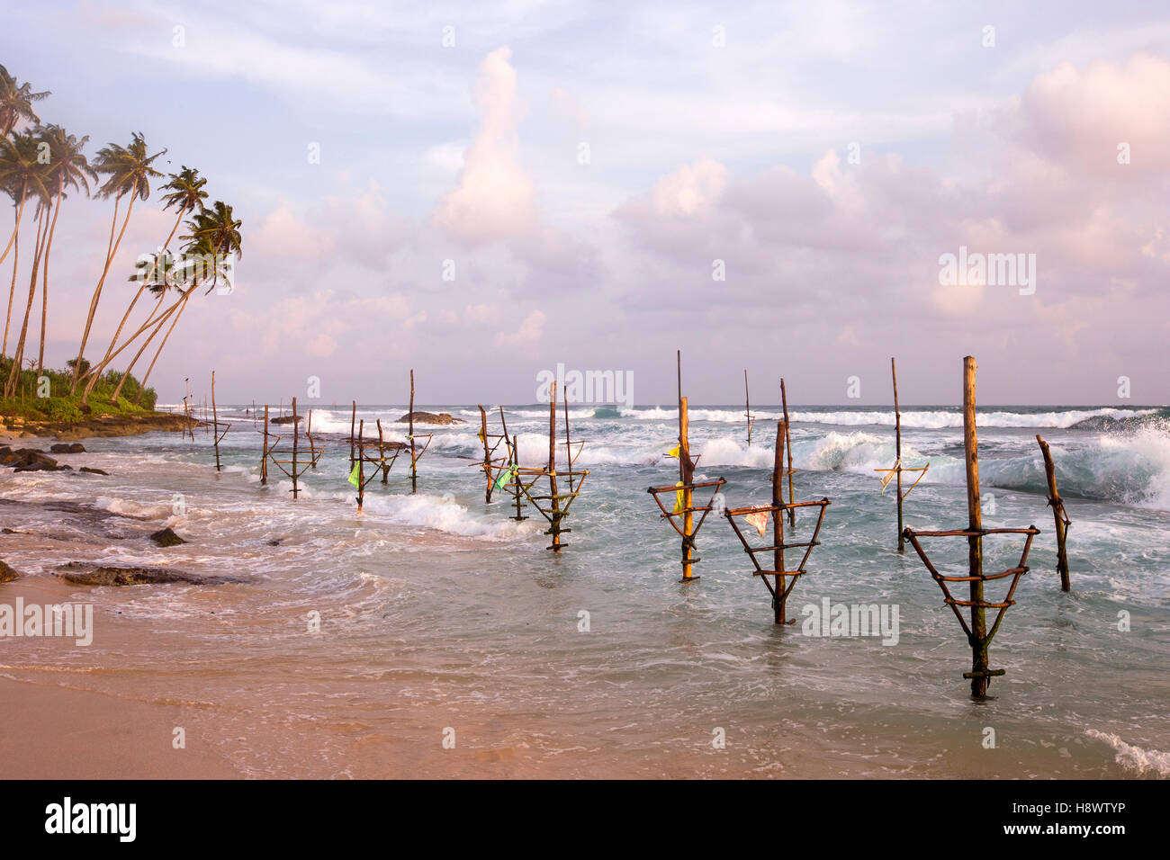 Stilt fish near the beach, traditional fishing, Weligama, Indian Ocean ...