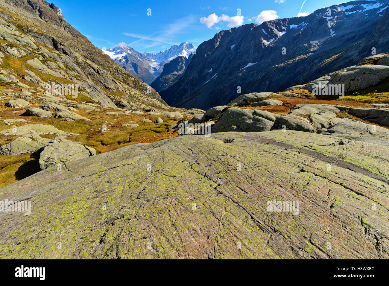 Glacial striations on gneiss Alpes France Stock Photo Alamy
