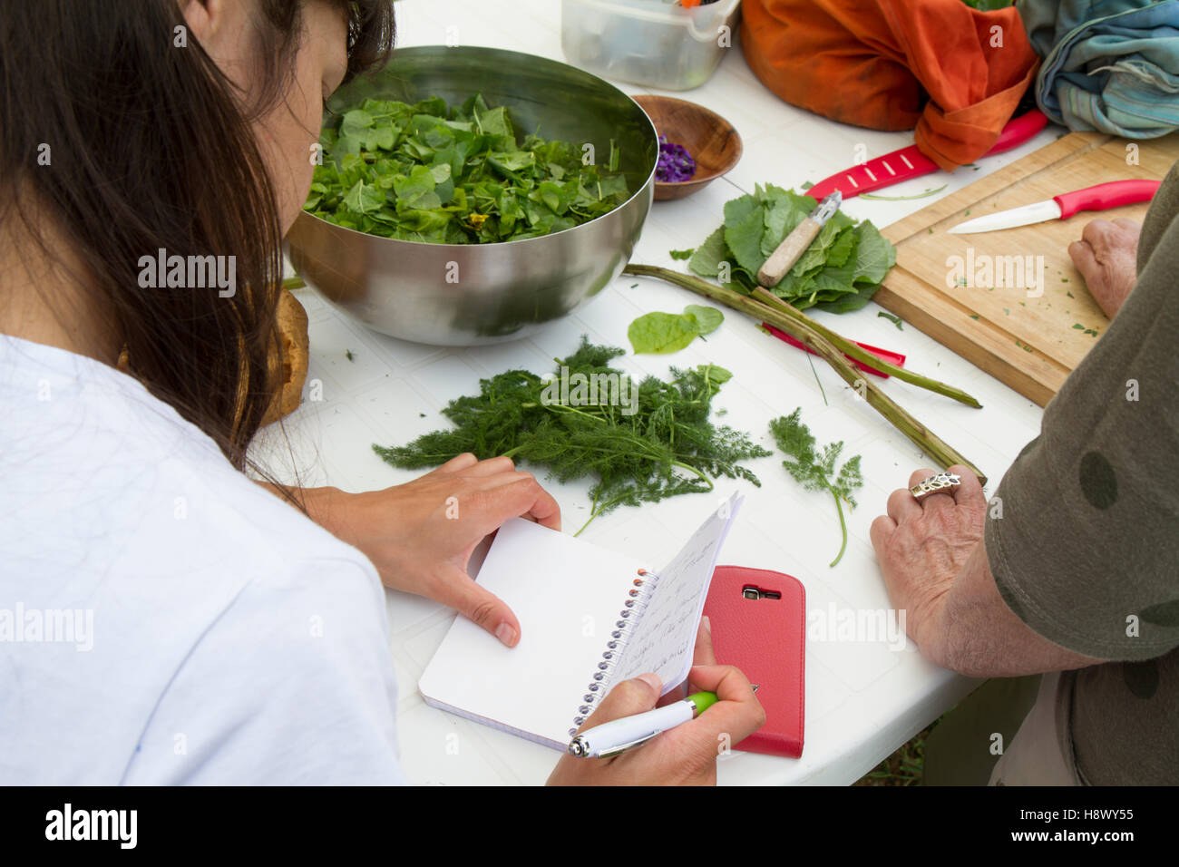 Taking notes during stage 'wild edible plants' France Stock Photo