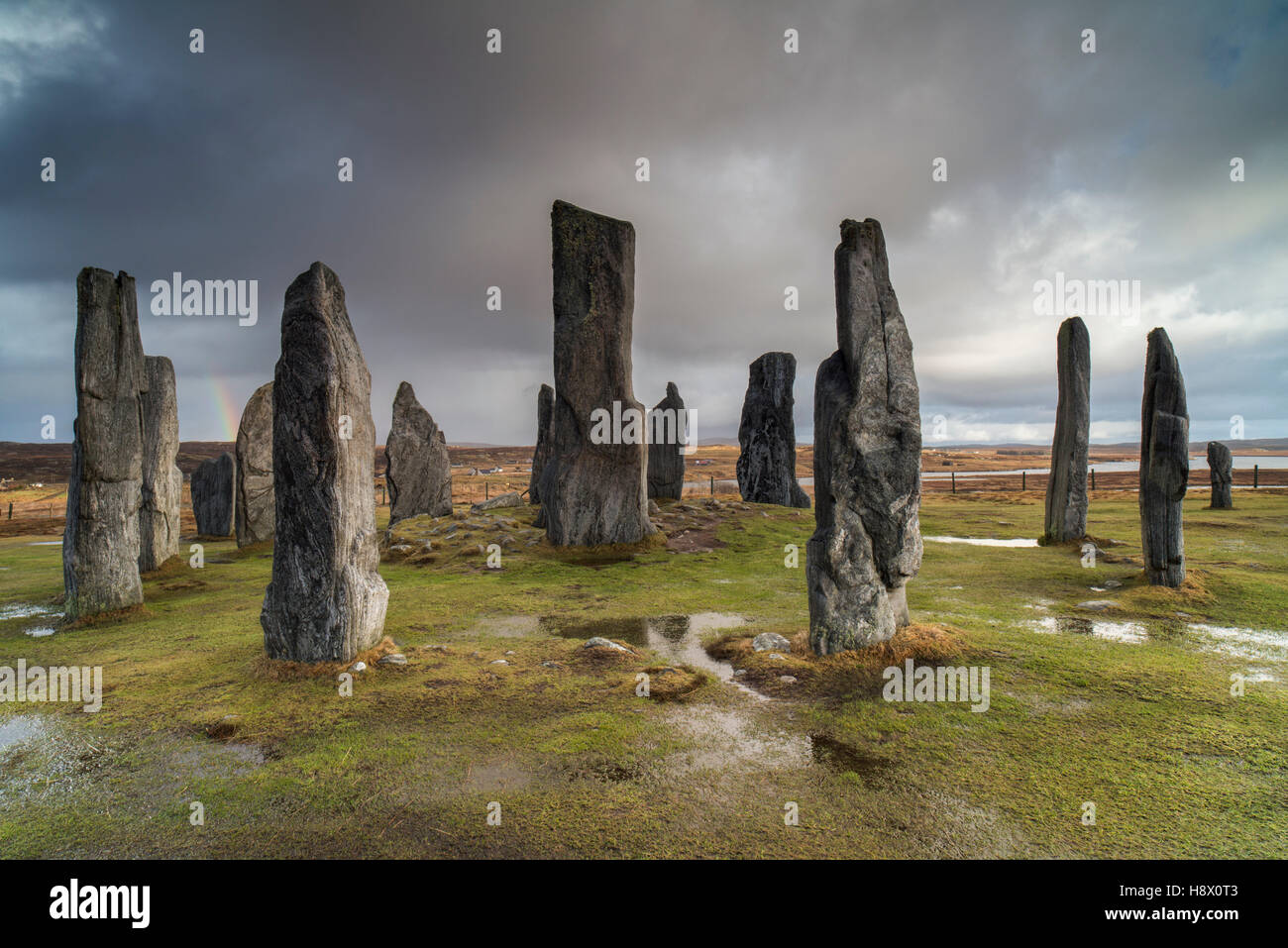 Circle Callanish standing stones in winter - Lewis Hebrides Stock Photo