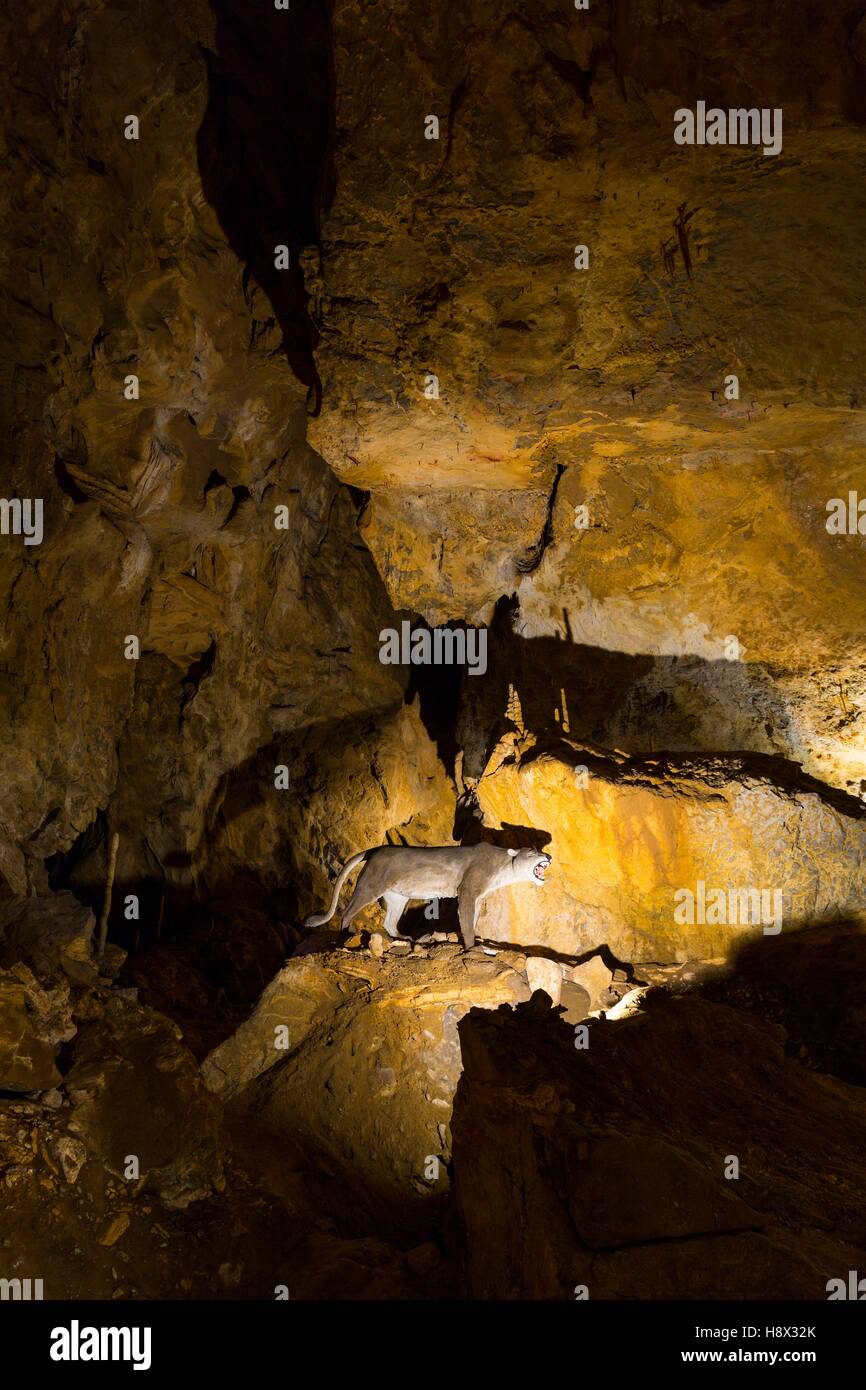 Arrikrutz cave, Oñati, Gipuzkoa, The Basque Country, Spain, Europe Stock Photo