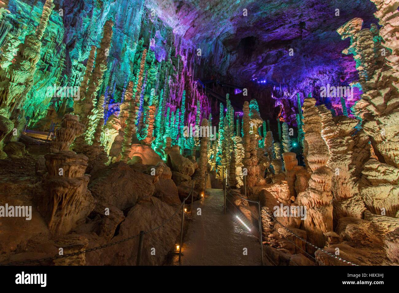 Cave of the Aven Armand - Hures la parade - Lozère - France Stock Photo -  Alamy