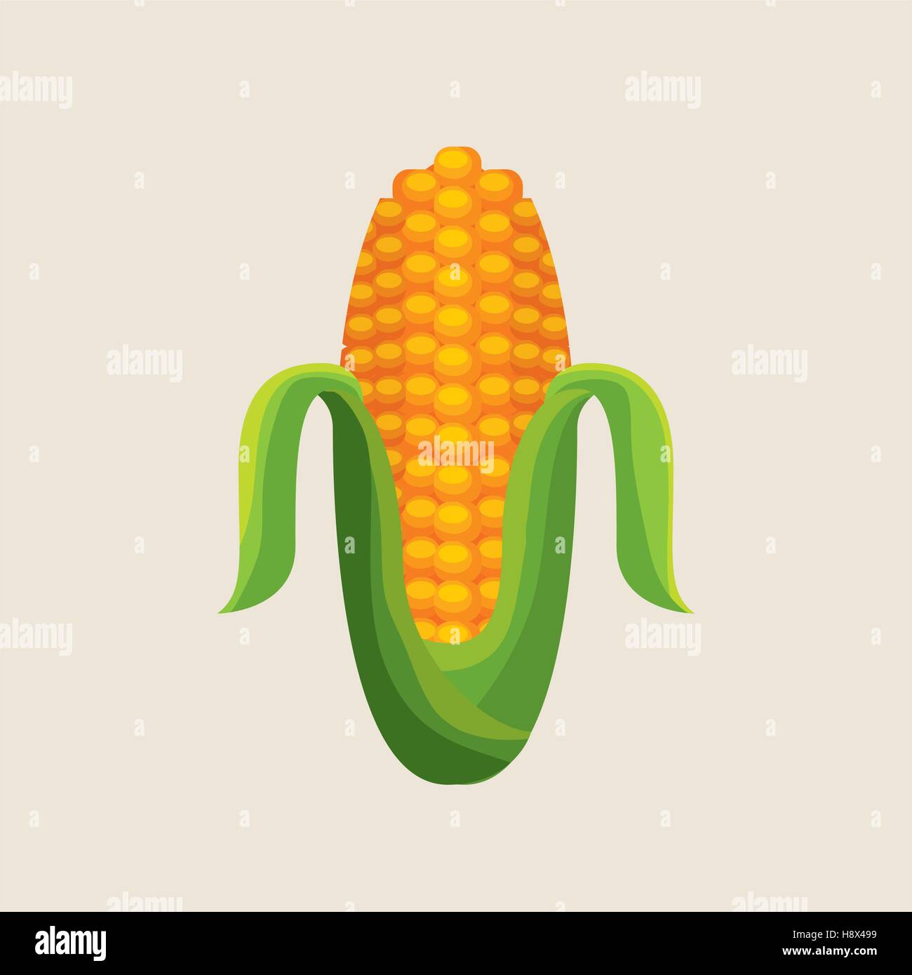 corn vegetable icon over white background. vector illustration Stock ...