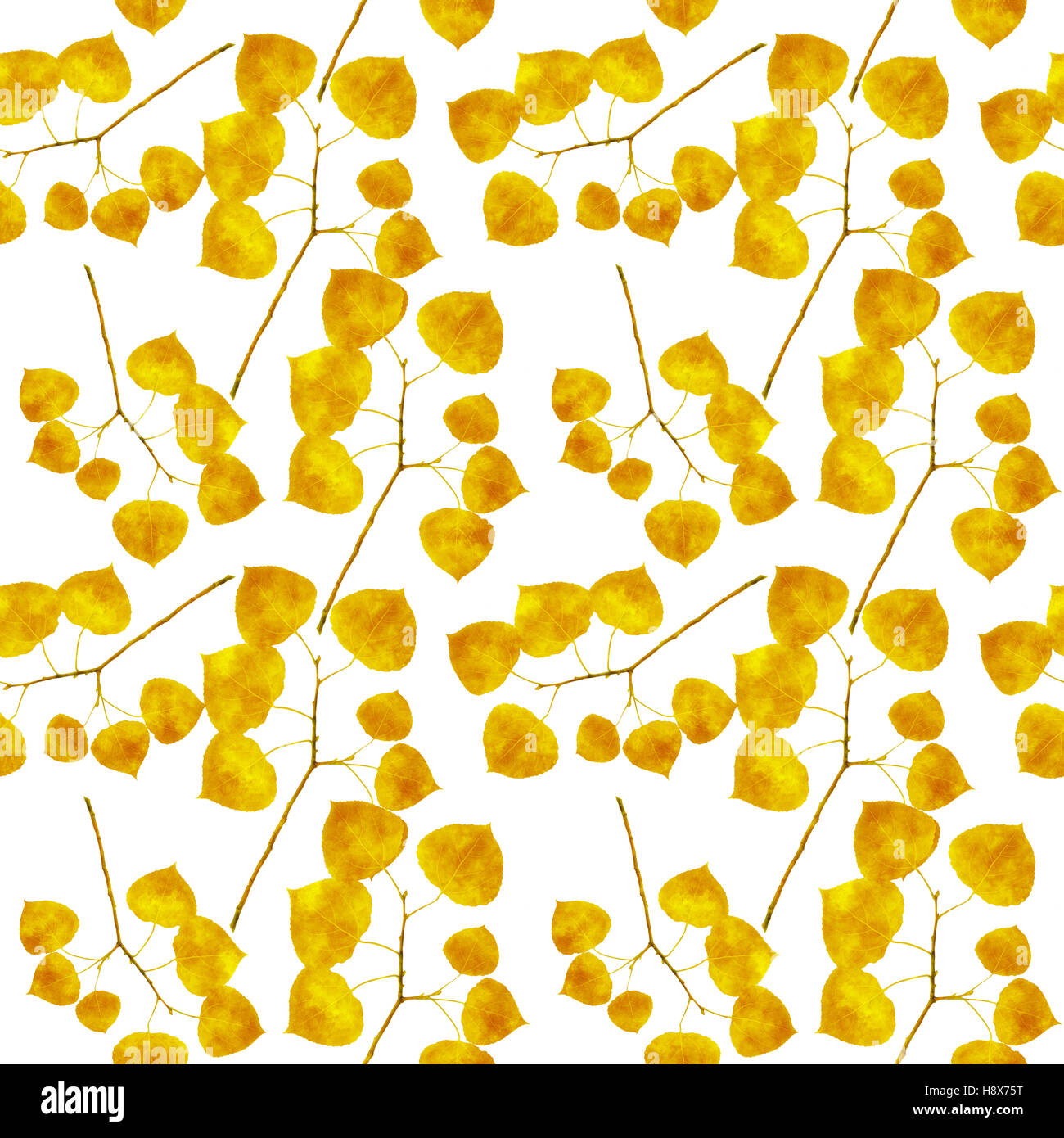 Aspen leaves seamless repeat pattern Stock Photo