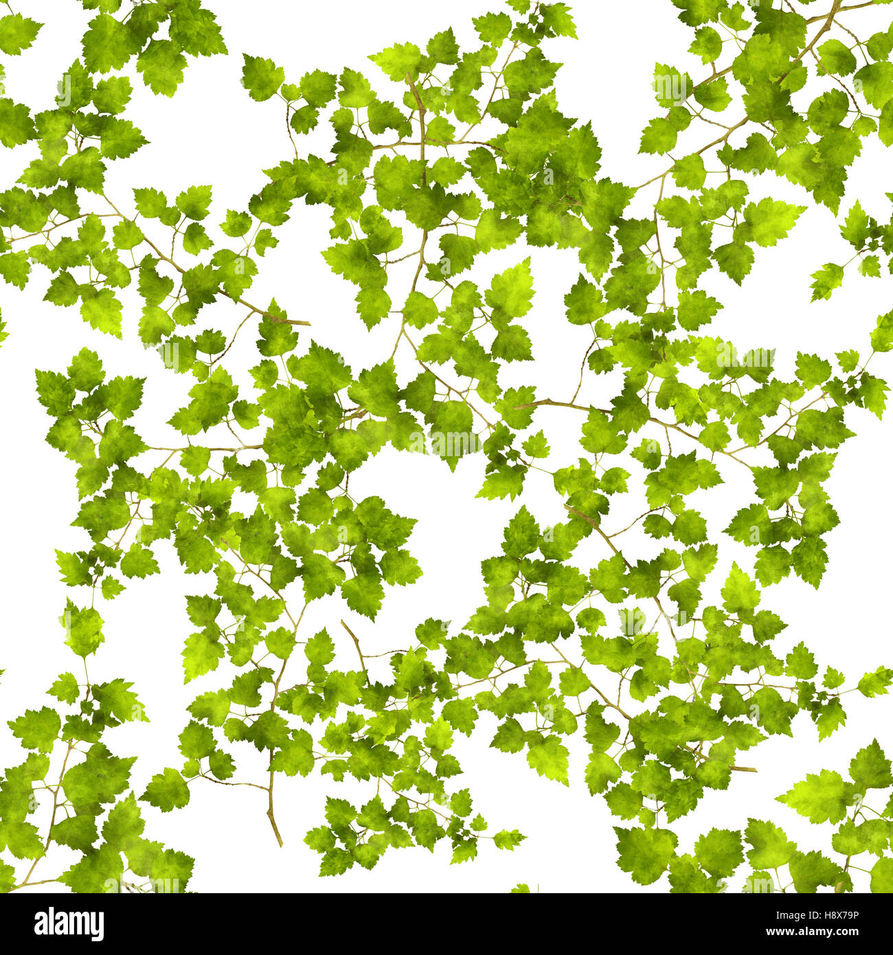 Green leaf seamless repeating pattern Stock Photo