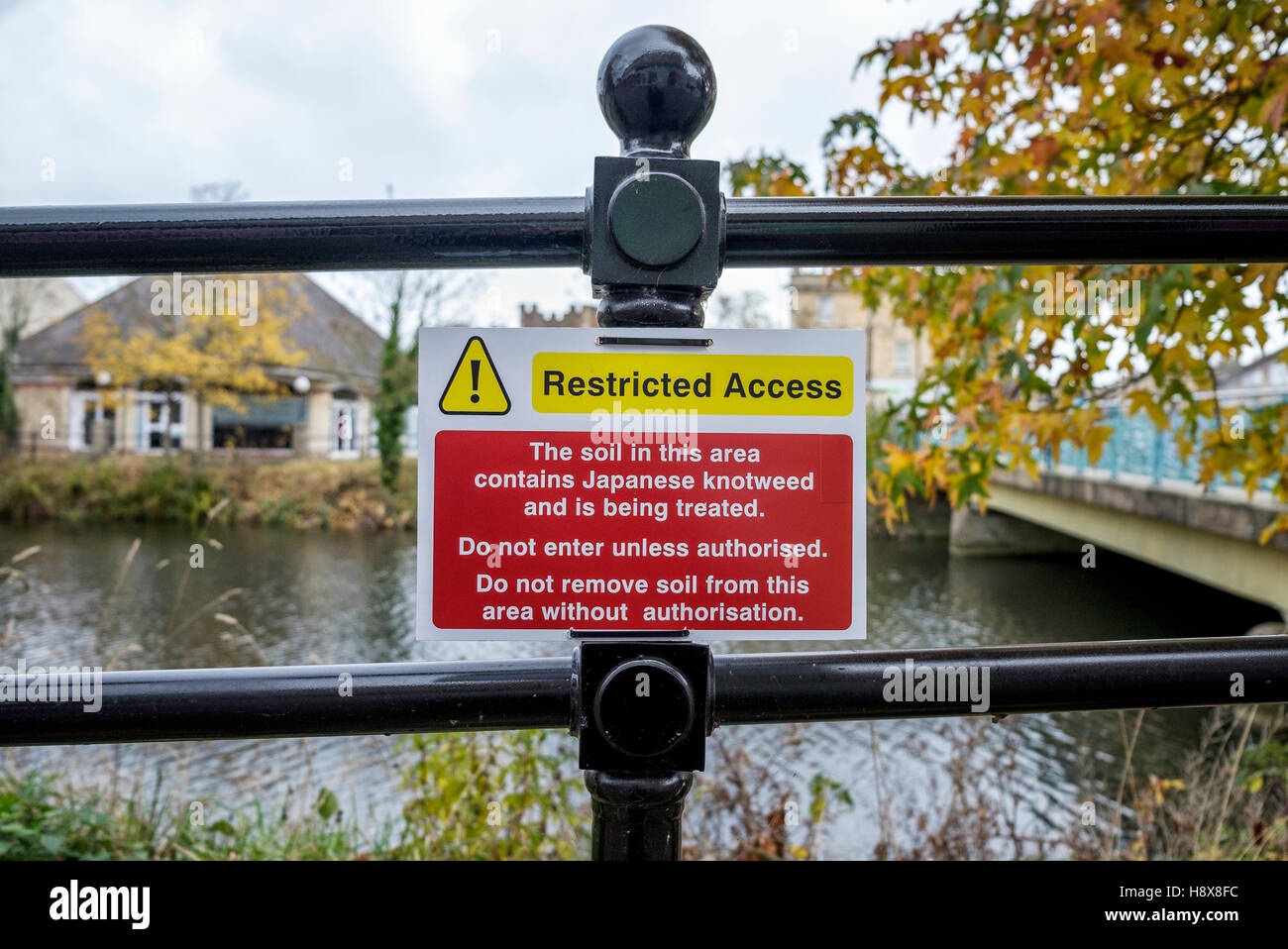 Japanese knotweed warning sign placed on an area of river bank in Chippenham,Wiltshire where the plant has been spotted growing. Stock Photo